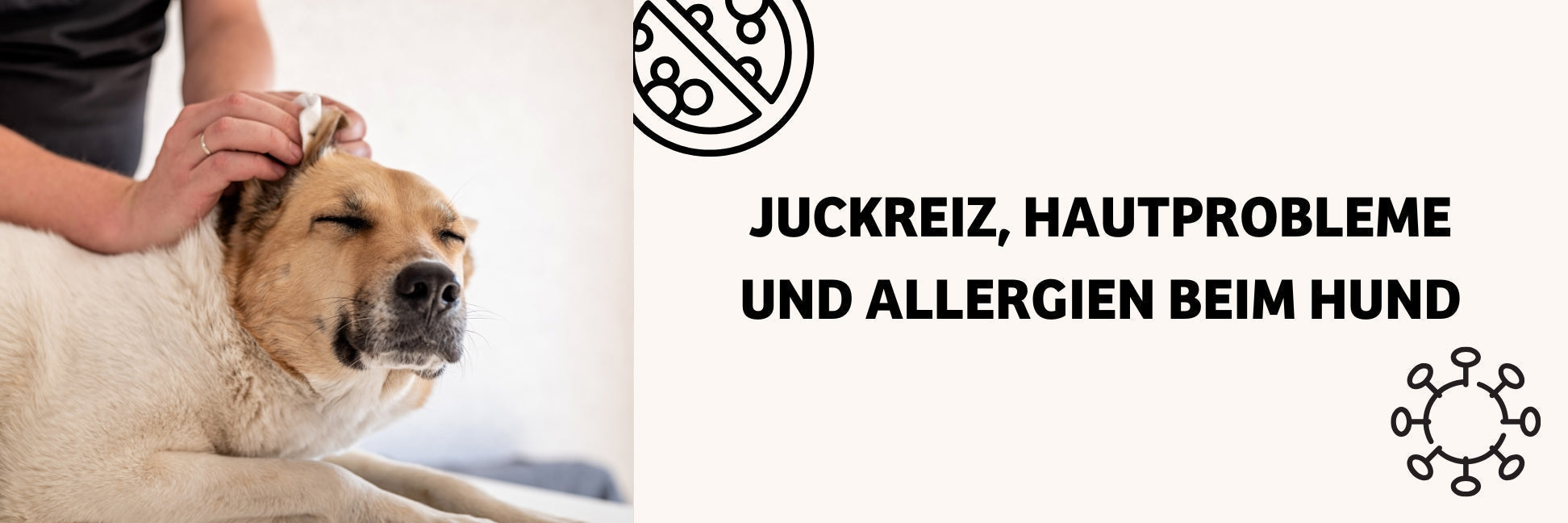 BugBell High Sensitive Futter