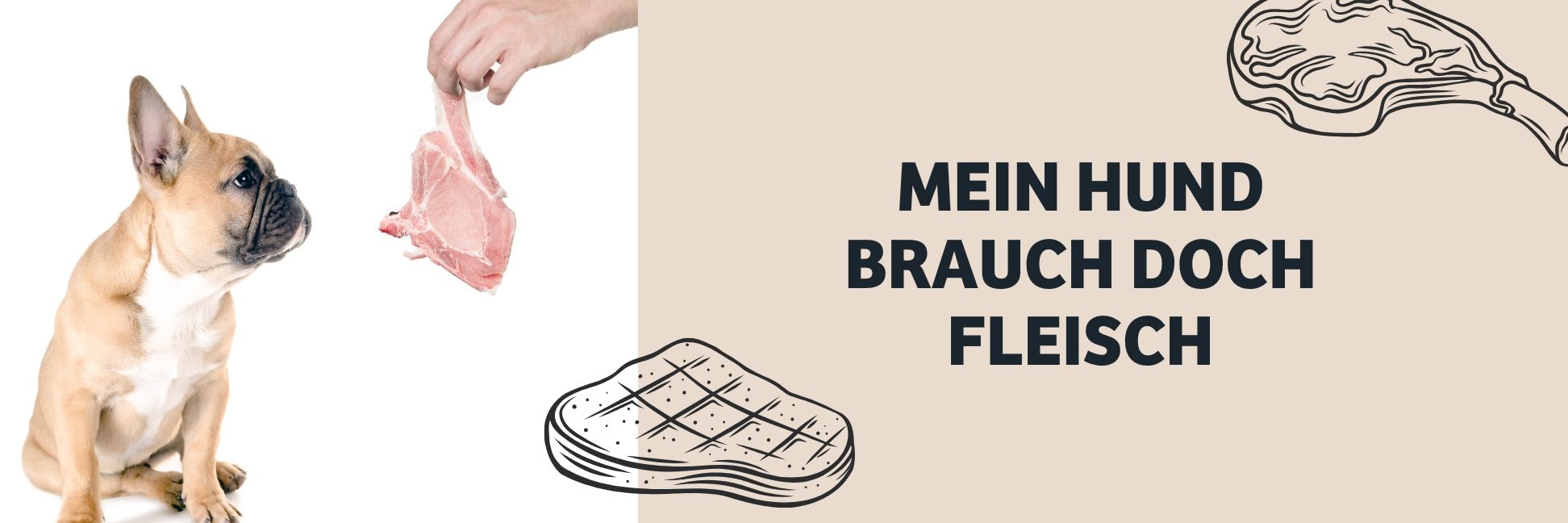 Brauch mein Hund gleisch?