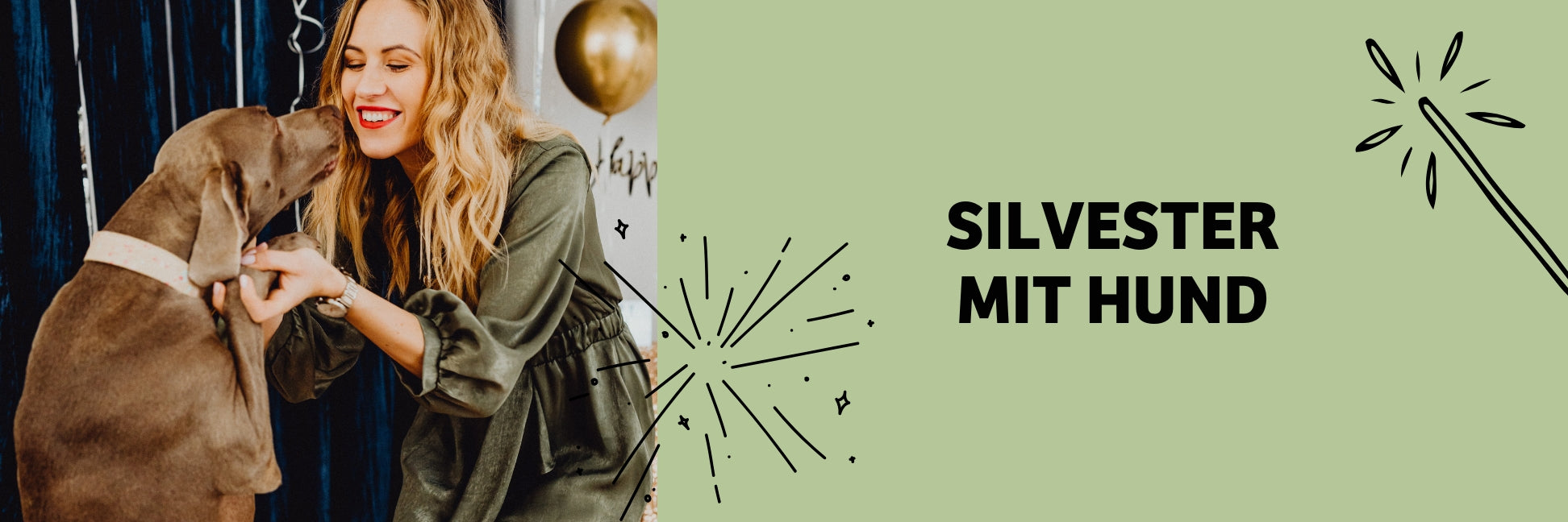 Silvester mit Hund – Stressfrei durch die Feiertage
