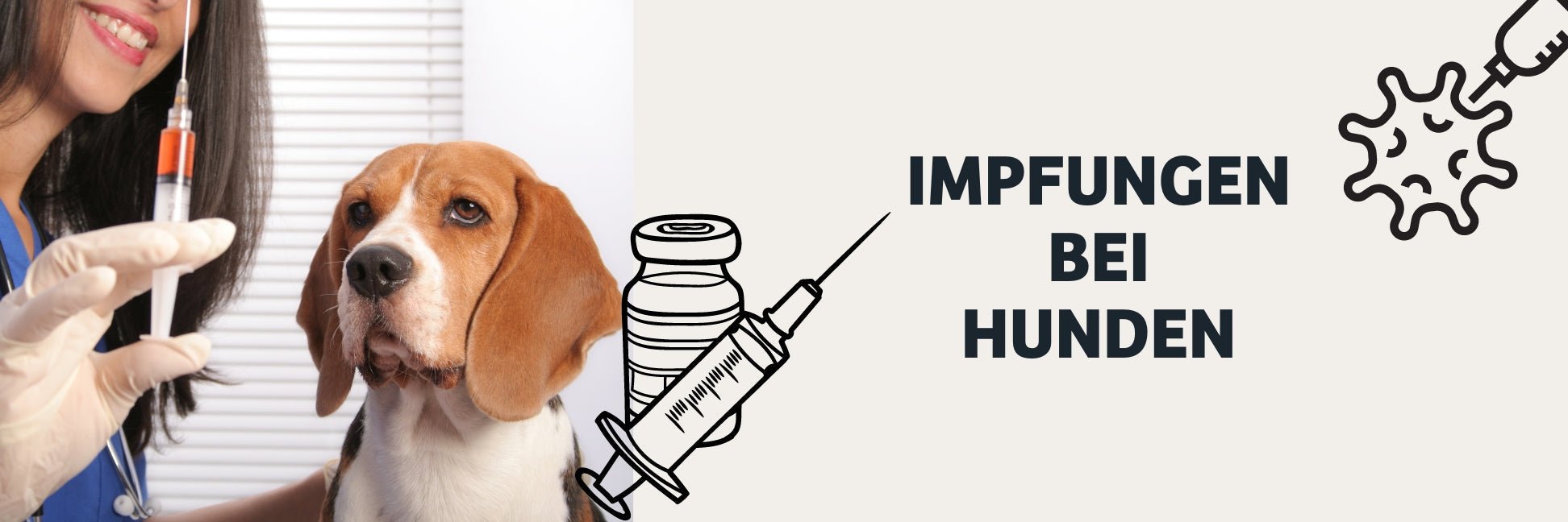 Impfungen bei Hunden