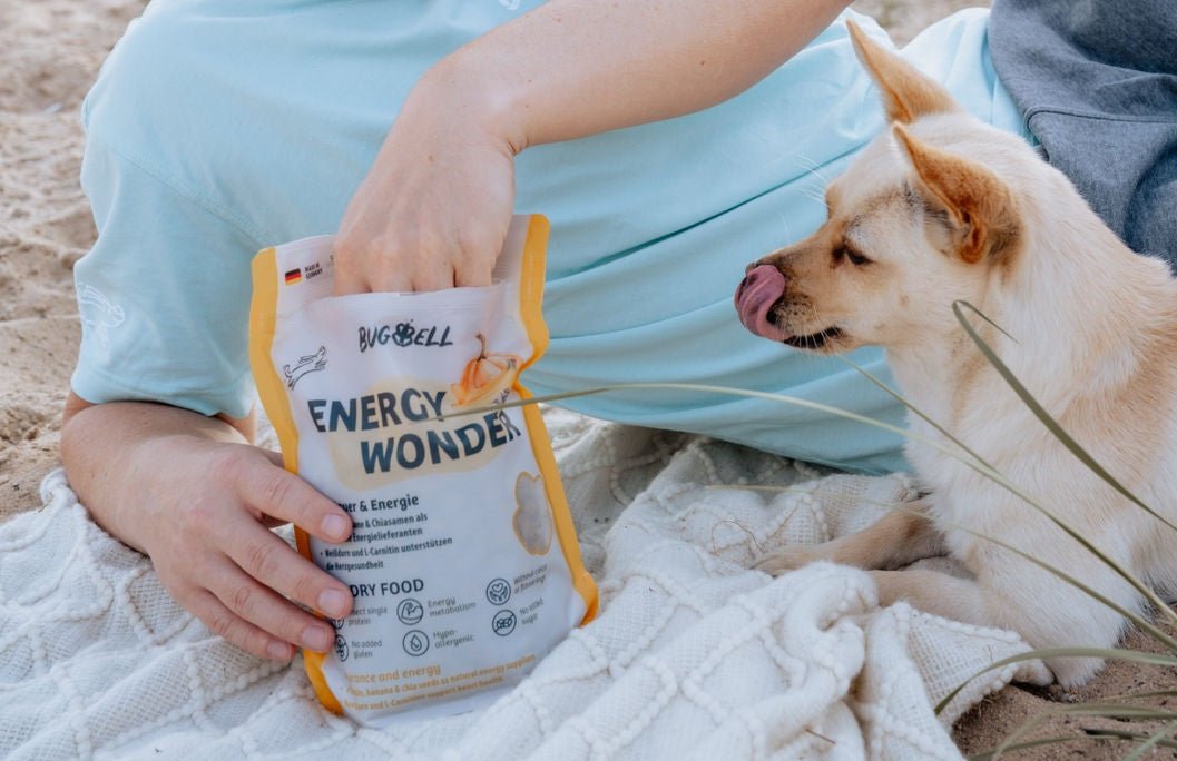 Hund und Trockenfutter EnergyWonder
