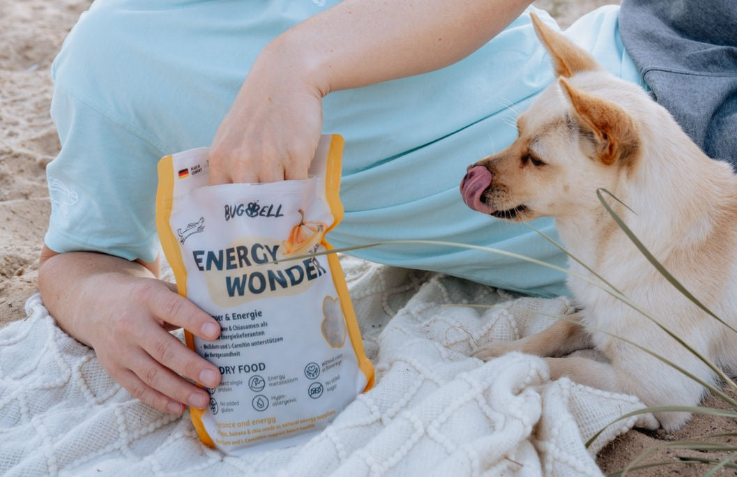 Hundefutter für aktive Hunde & Sporthunde