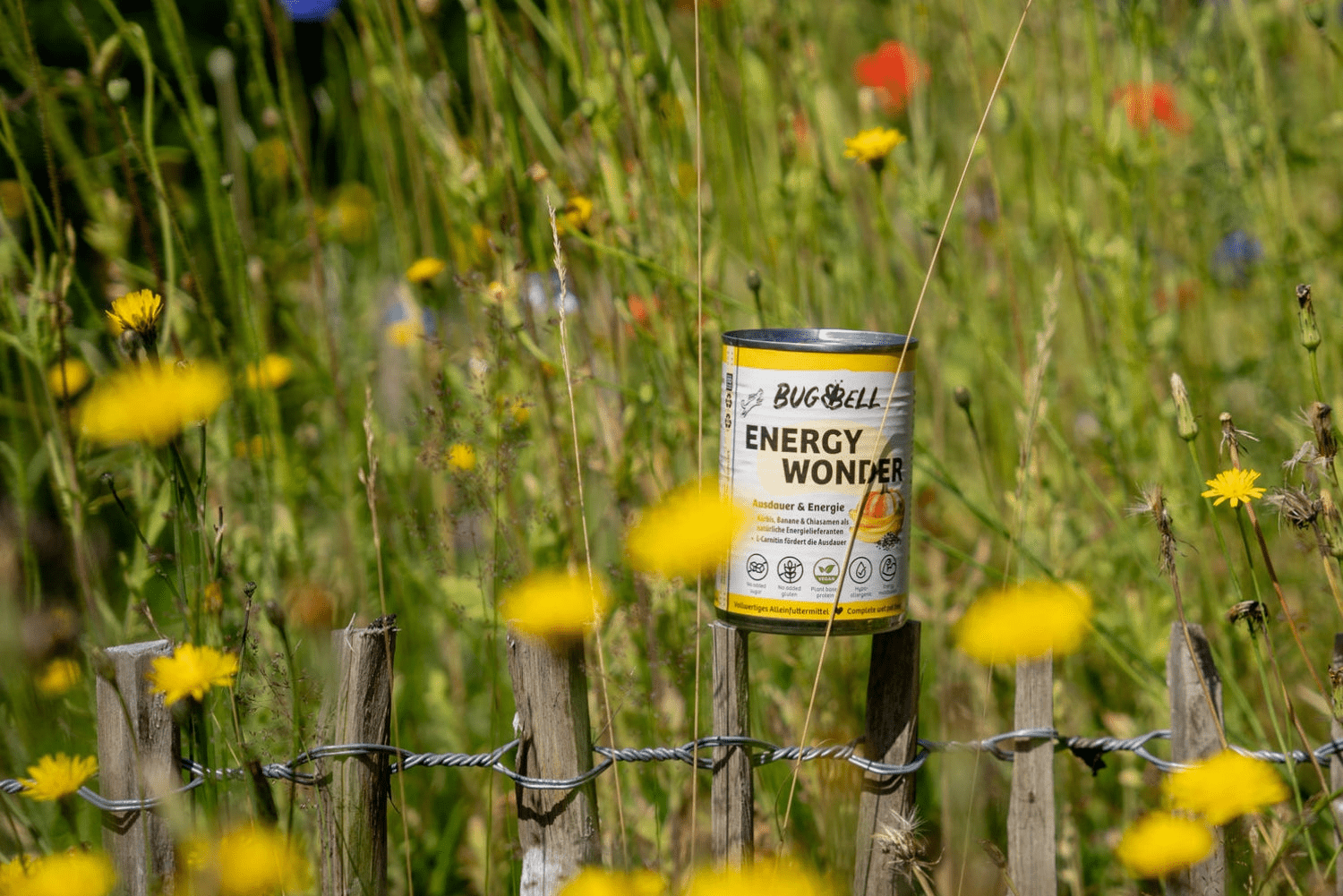 Veganes-und-nachhaltiges-Hundefutter-von-BugBell