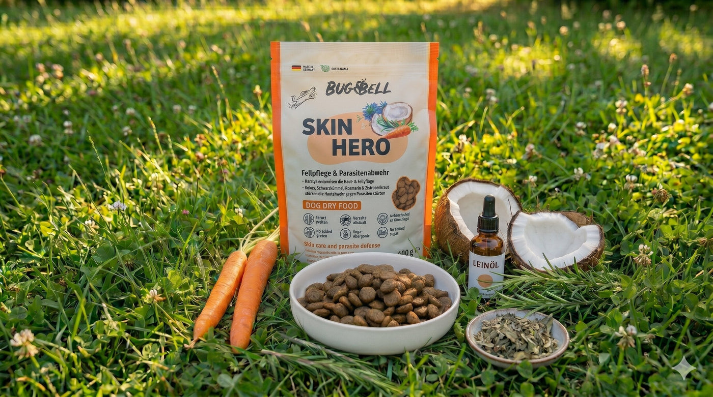 BugBell SkinHero Trockenfutter auf Wiese mit Kokosöl, Karotte, Zistrosenkraut, Rosmarin und Leinöl
