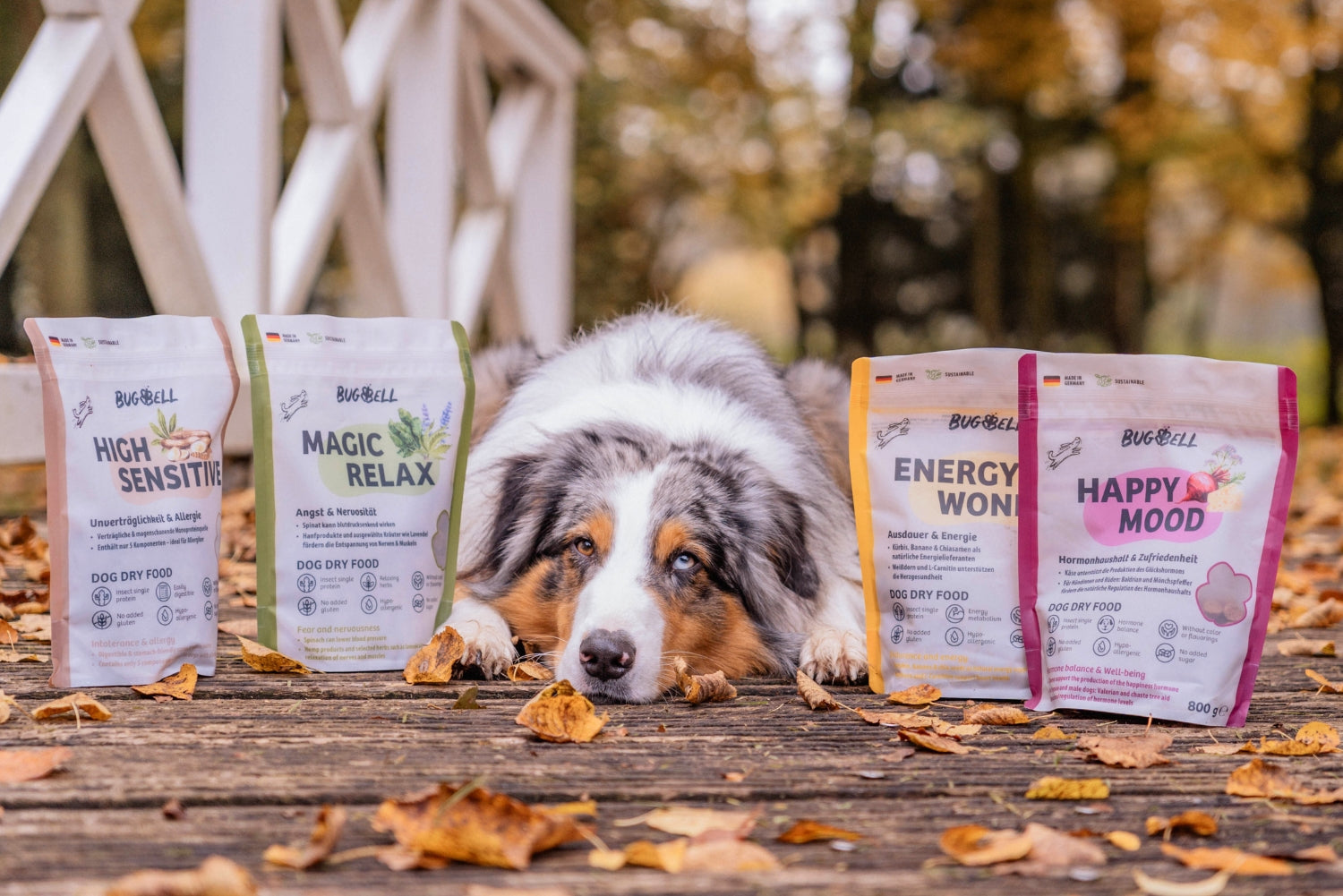 Fettreduziertes Hundefutter bei Übergewicht