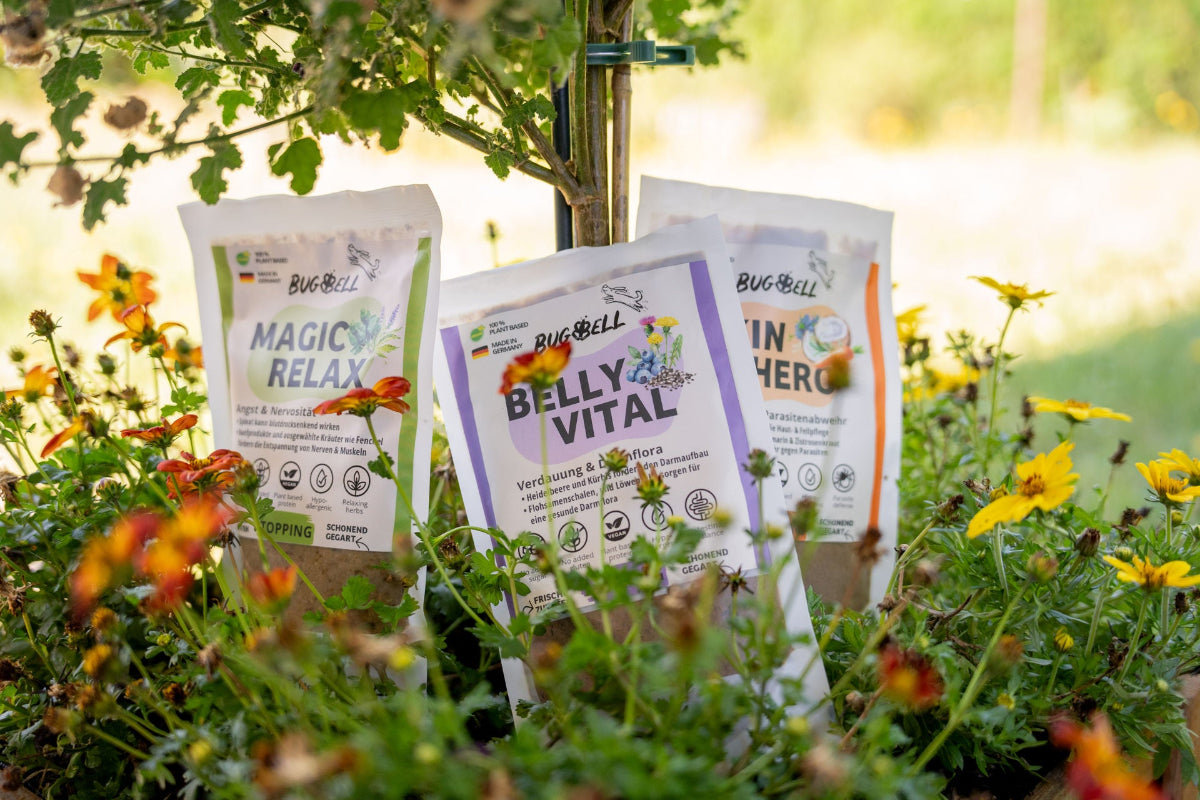 Leckeres Topping für Hundefutter