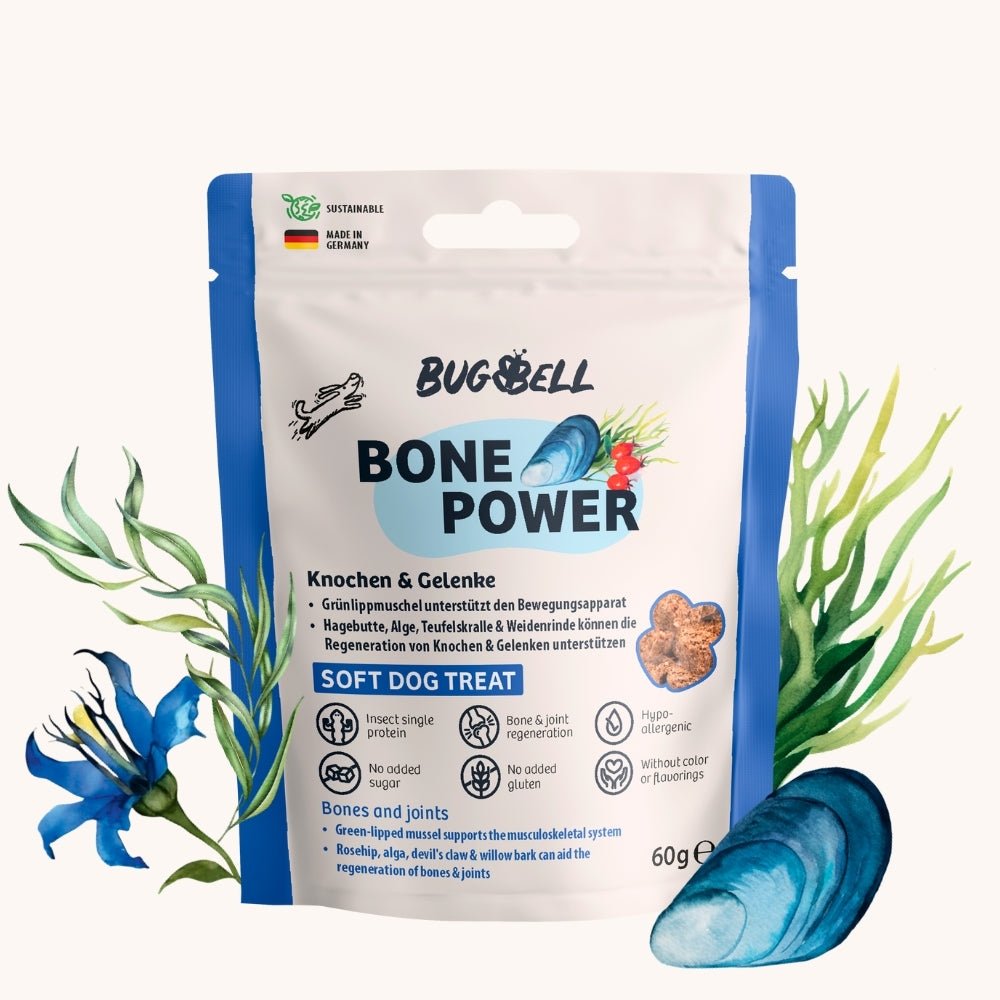 Der Bone Power Soft Dog Treat von BugBell unterstützt die Knochen und Gelenke von Hunden mit Grünlippmuschel zur Förderung des Bewegungsapparats sowie Hagebutte, Alge, Teufelskralle und Weidenrinde zur Regeneration. Dieses hypoallergene Hundefutter ist ideal zur Stärkung der Gelenkgesundheit.