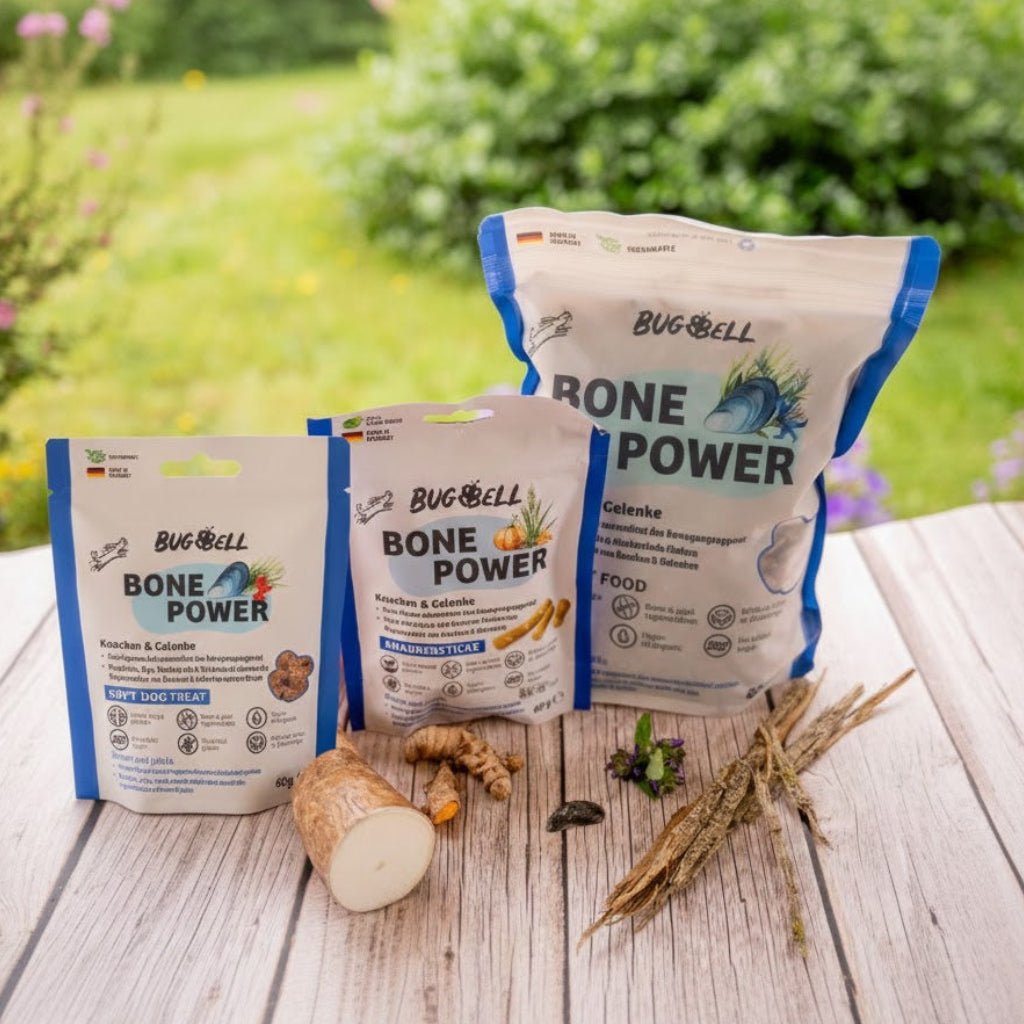 Hundefutter BonePower Paket BugBell