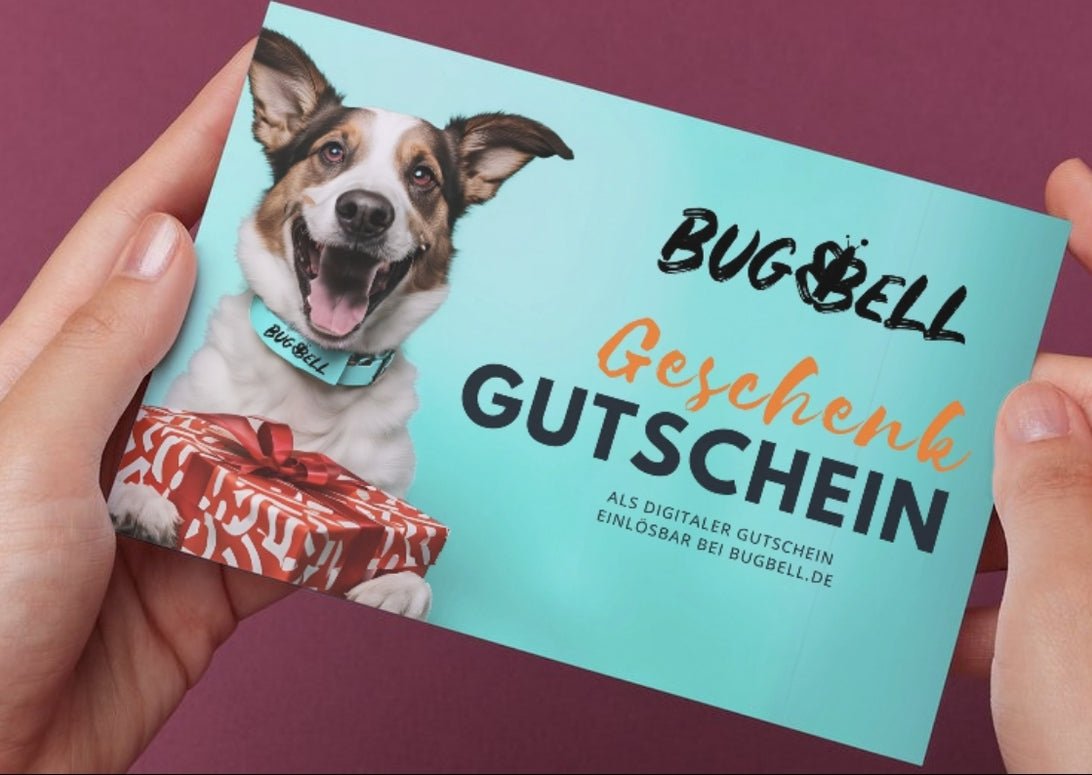 BugBell Gutschein in den Händen gehalten