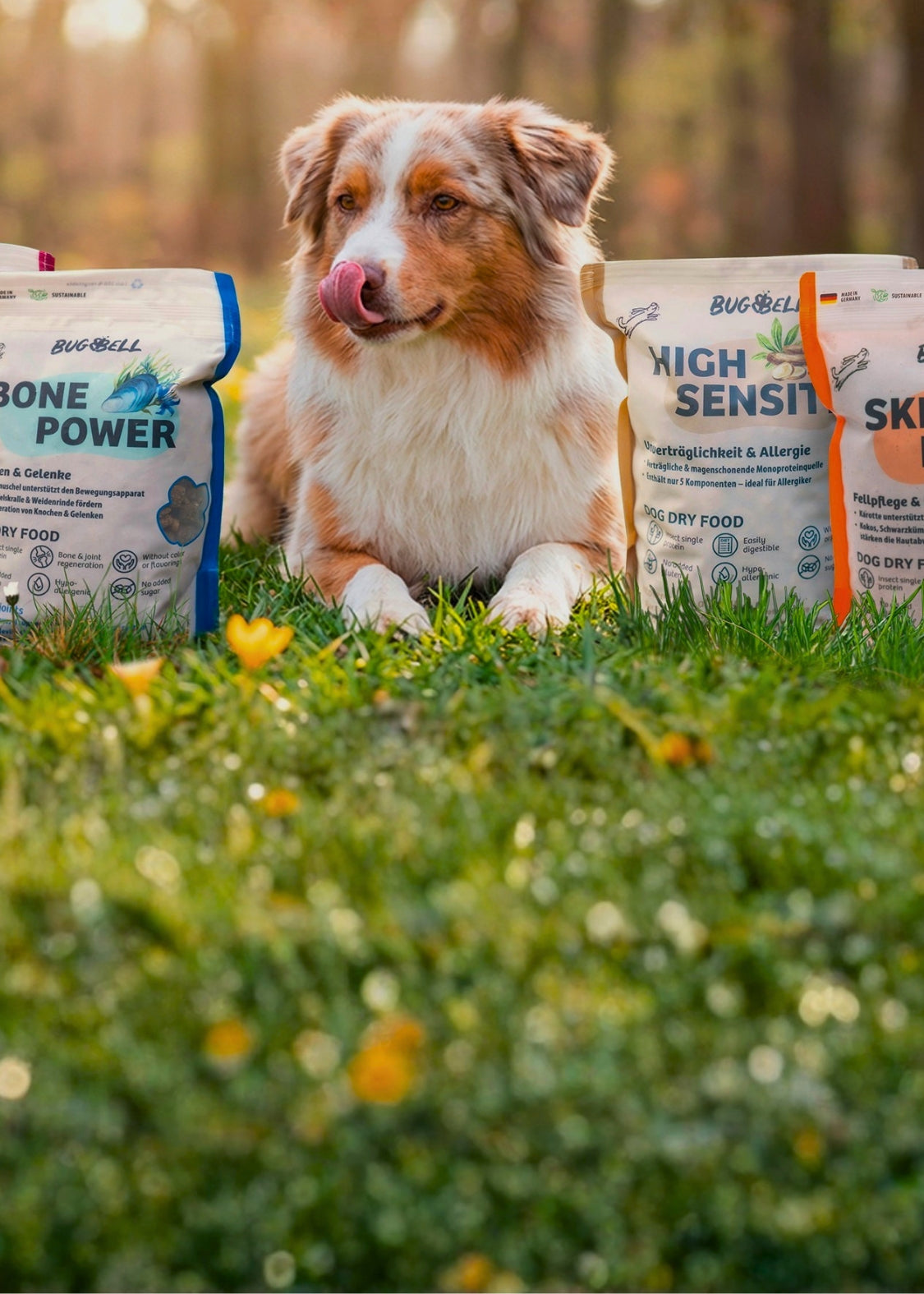 BugBell_Hypoallergenes_Hundefutter_mit_Insekten_Mobile