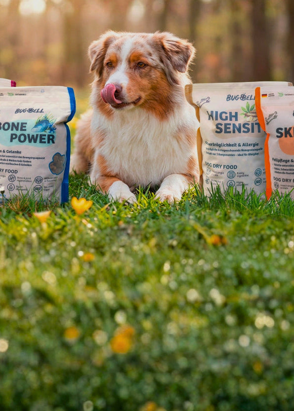 BugBell Hypoallergenes Hundefutter mit Insekten Mobilansicht