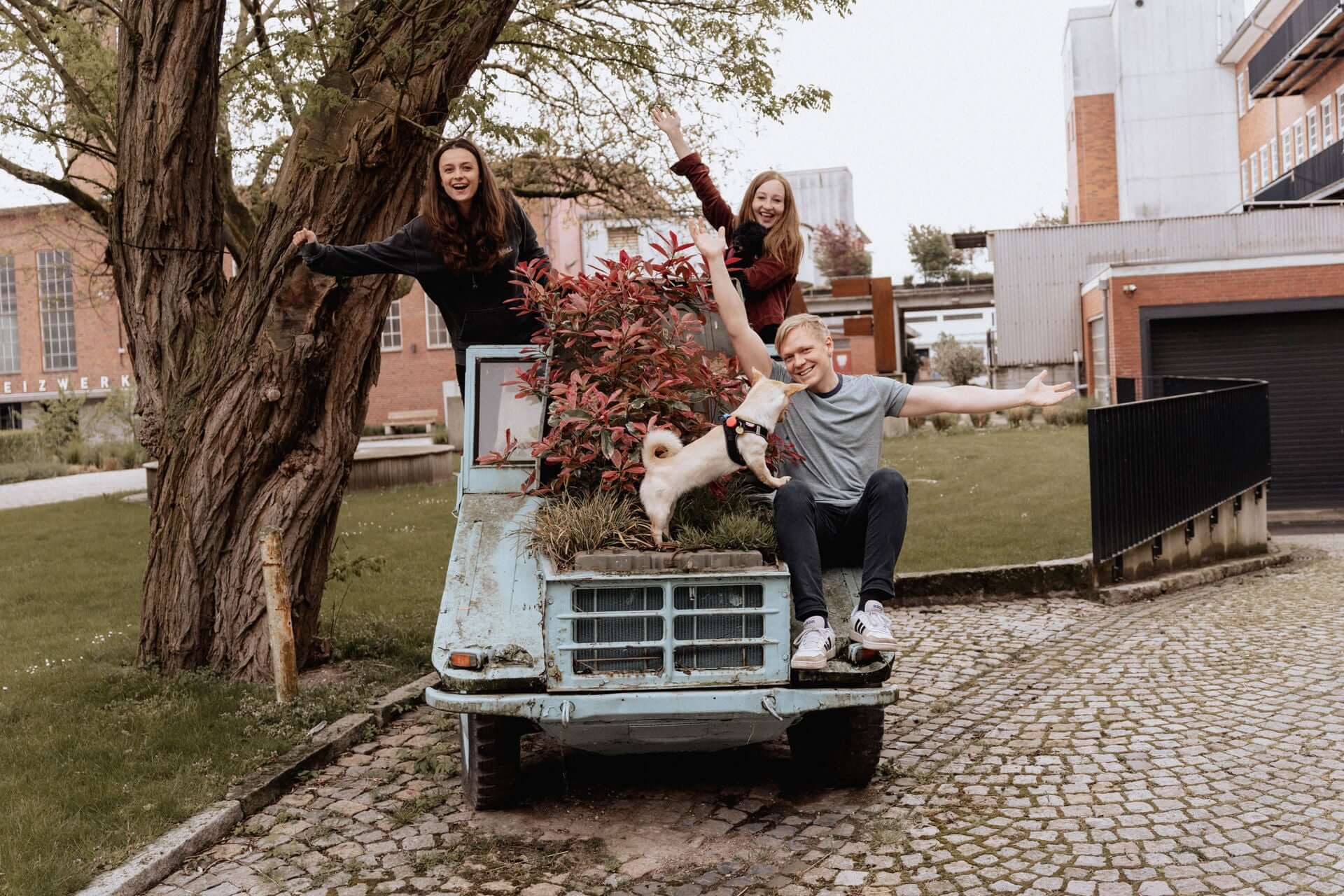 BugBell Team, bestes Hundefutter für gesunde Hunde