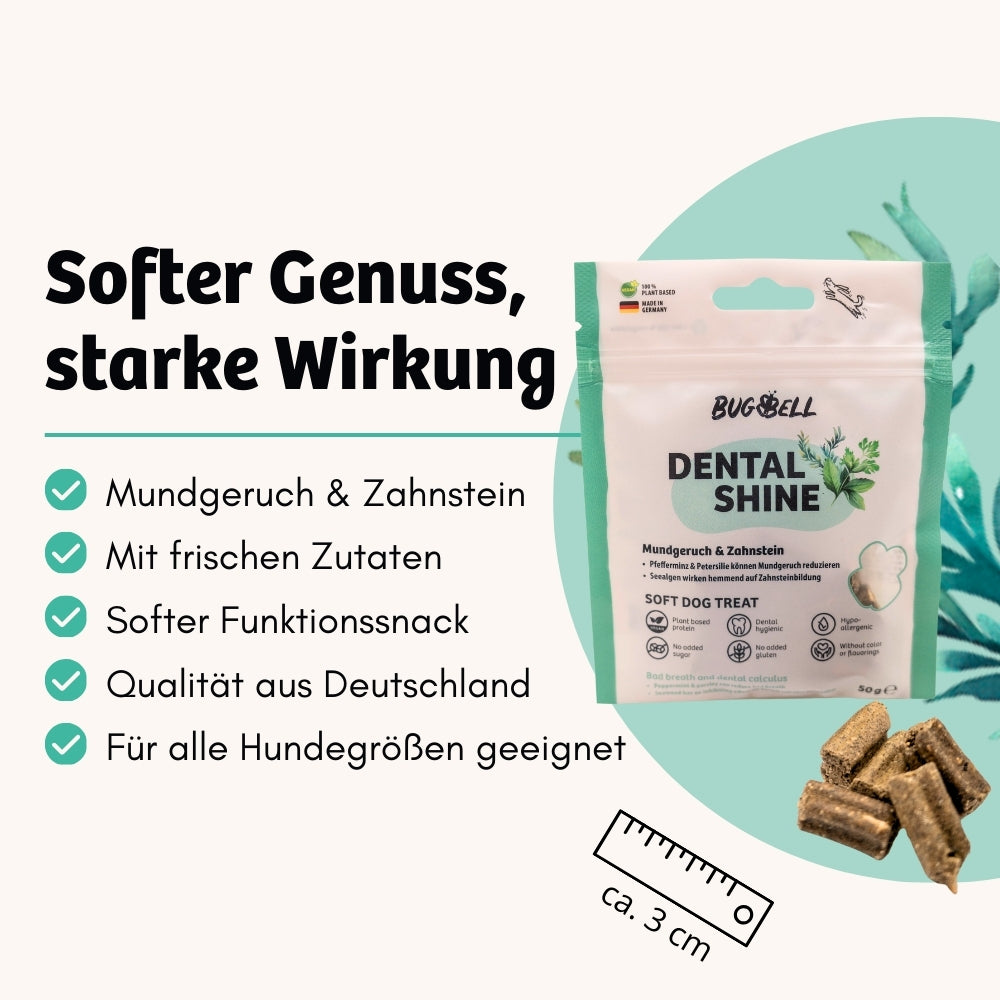 Leckerli Hund Zahngesundheit