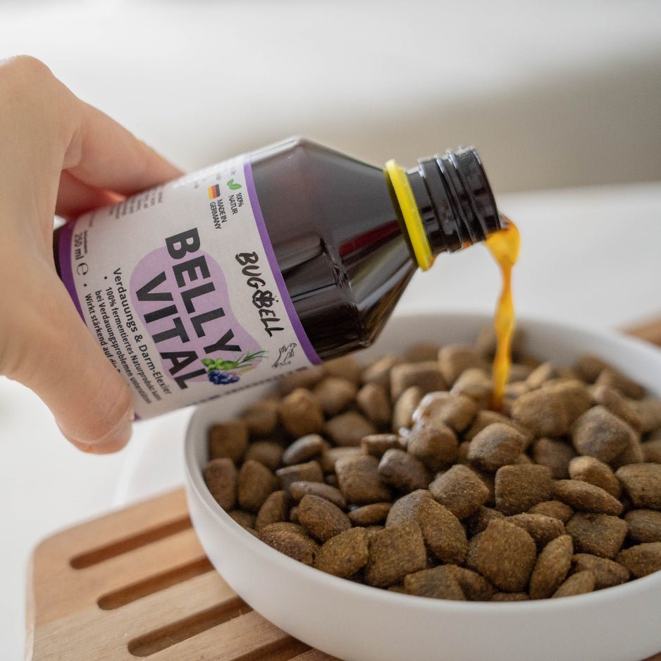 BellyVital Darm Elixier wird über Hundefutter gekippt