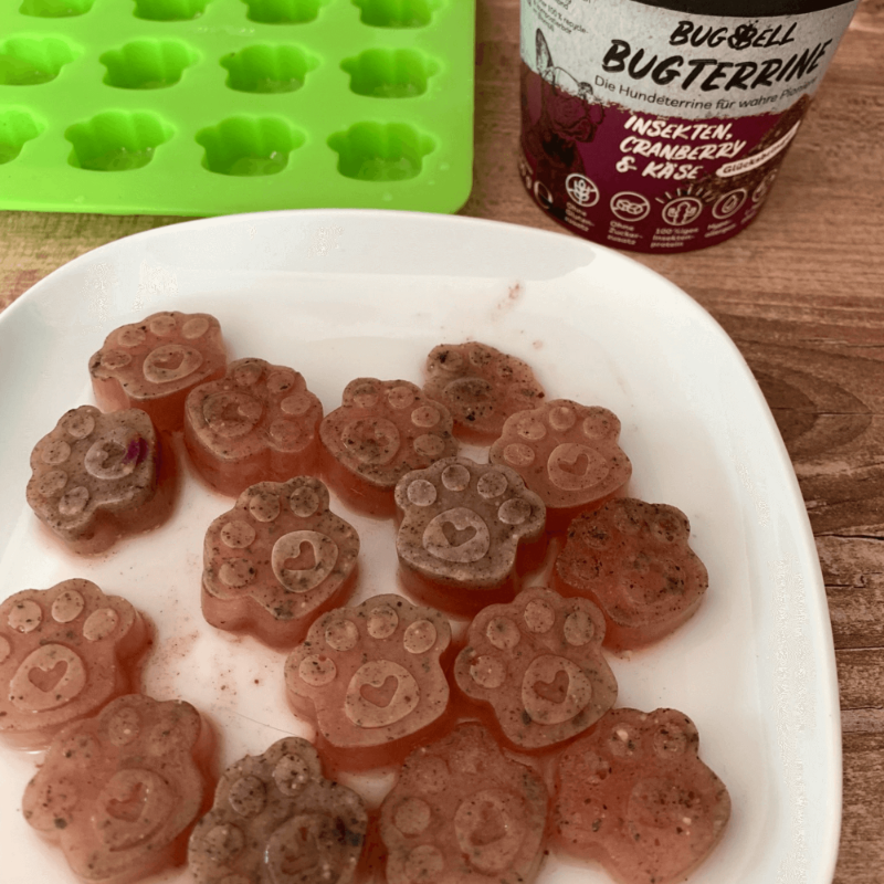 Backmatte & Eiswürfelform - BugBell GmbH