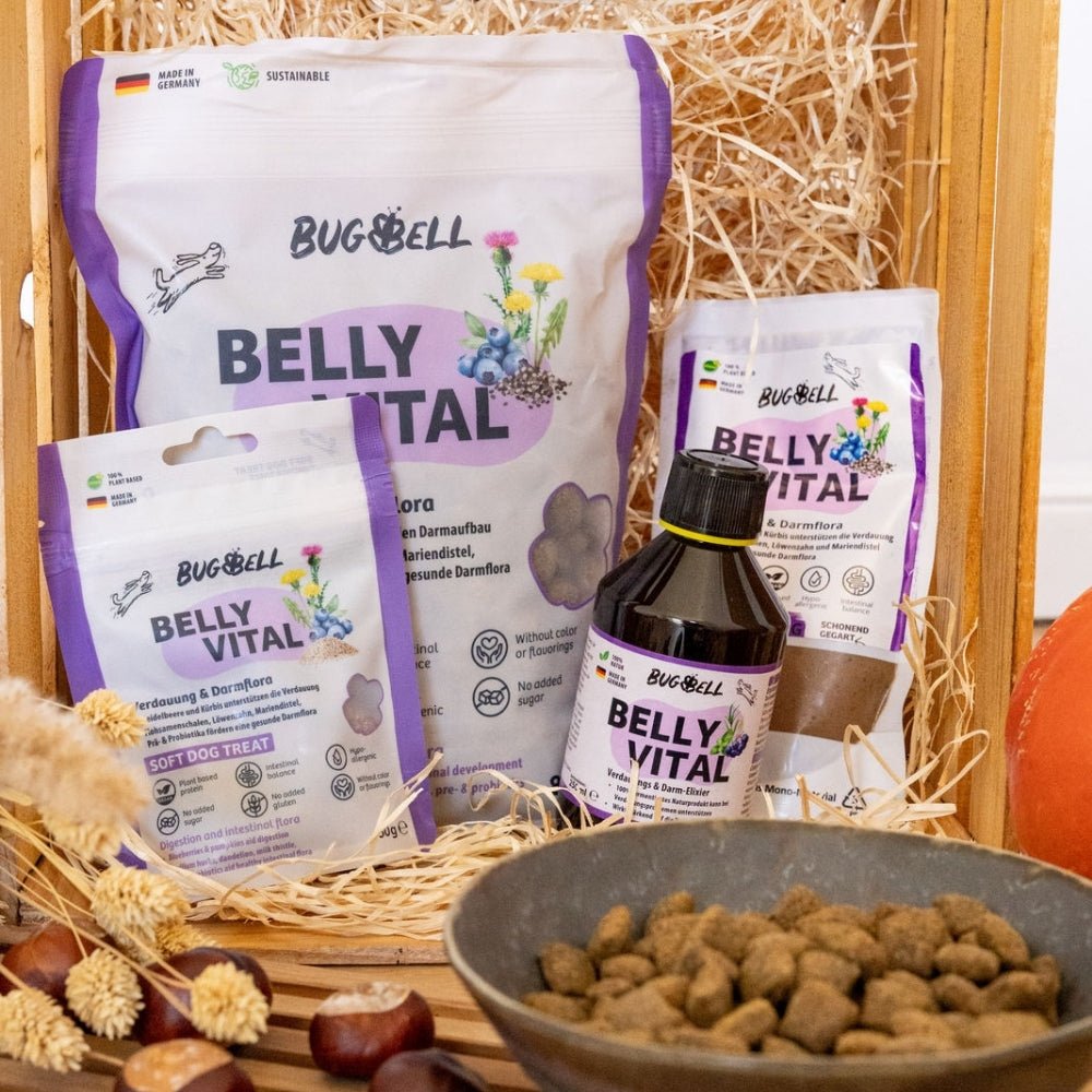 ImmunPower Hundefutter Paket mit BellyVital