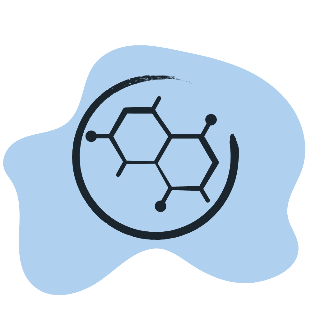 Hundefutter Innovative_Proteine_Insektenprotein_Pflanzenprotein