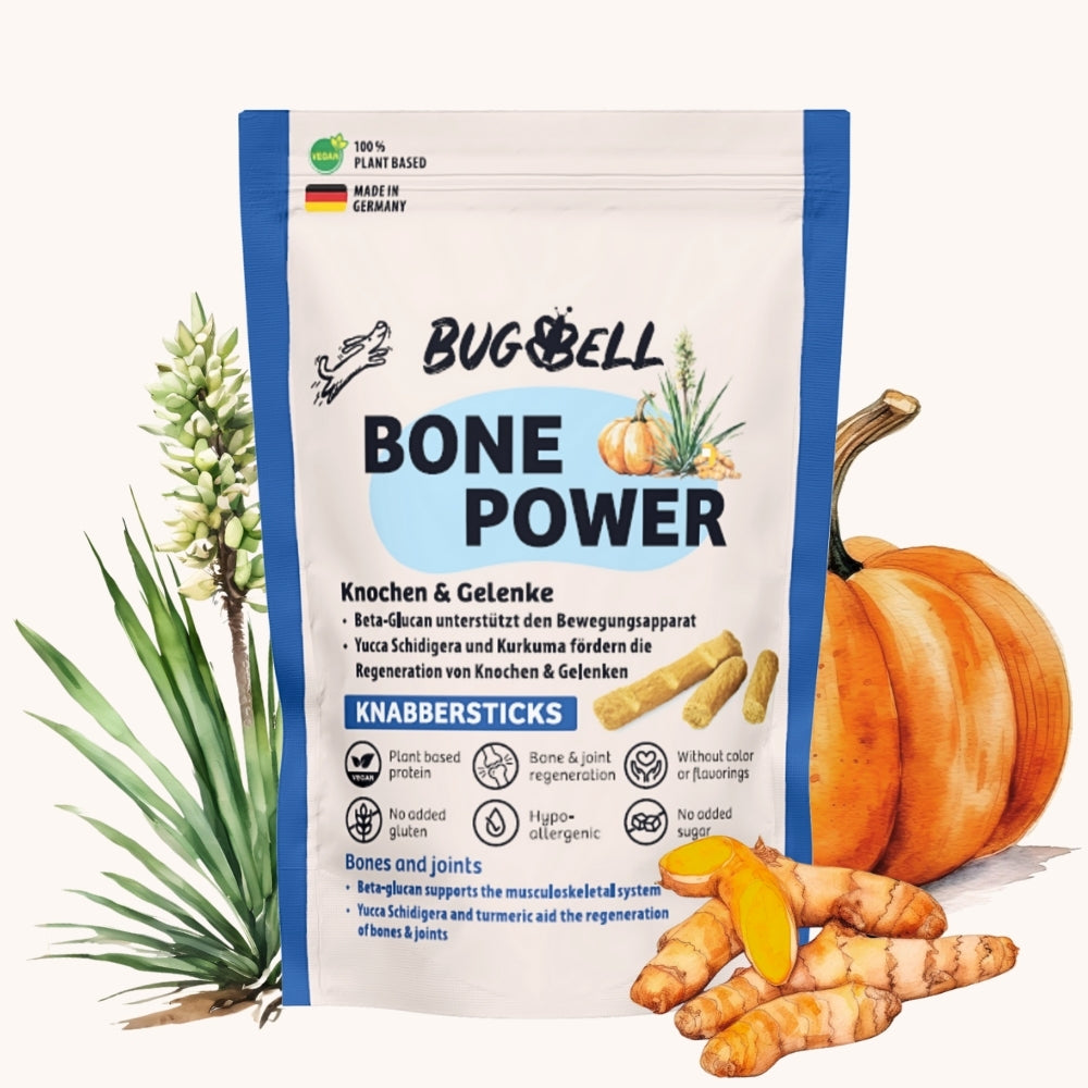 Knabbersticks BonePower - Knochen & Gelenke
