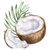 Kokosöl