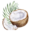 Coconut oil