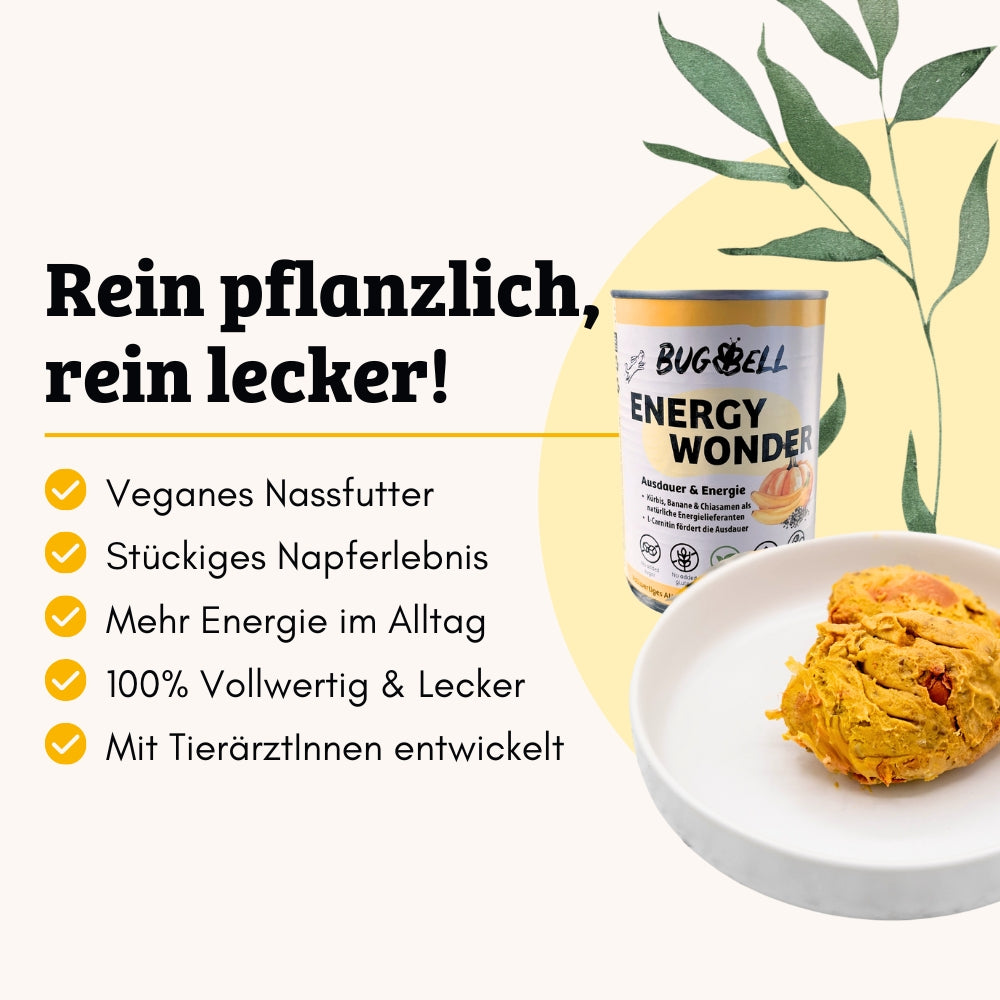 BugBell Energy Wonder – das vegane Nassfutter für mehr Energie im Alltag. Stückiges Napferlebnis, 100 % vollwertig und lecker, entwickelt mit TierärztInnen. Ideal für eine pflanzliche, gesunde Ernährung deines Hundes.