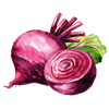 Rote Bete