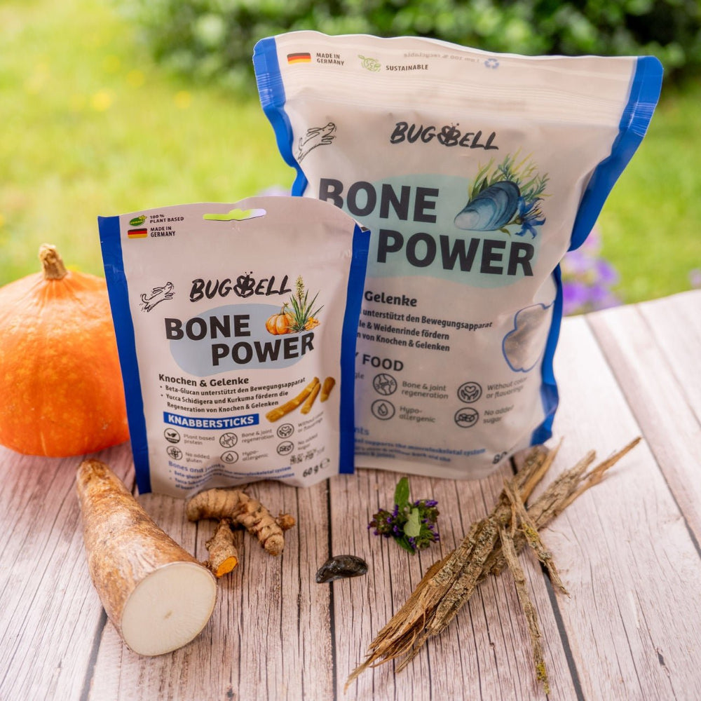 Senioren Hundefutter Paket BonePower