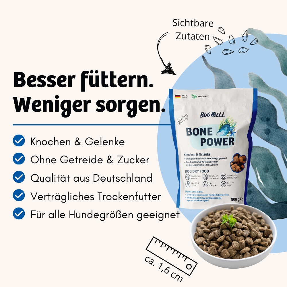 Bone Power Trockenfutter von BugBell unterstützt die Gesundheit von Knochen und Gelenken. Ohne Getreide und Zucker, mit sichtbaren Zutaten und Qualität aus Deutschland, ist es ein verträgliches Trockenfutter für Hunde aller Größen.