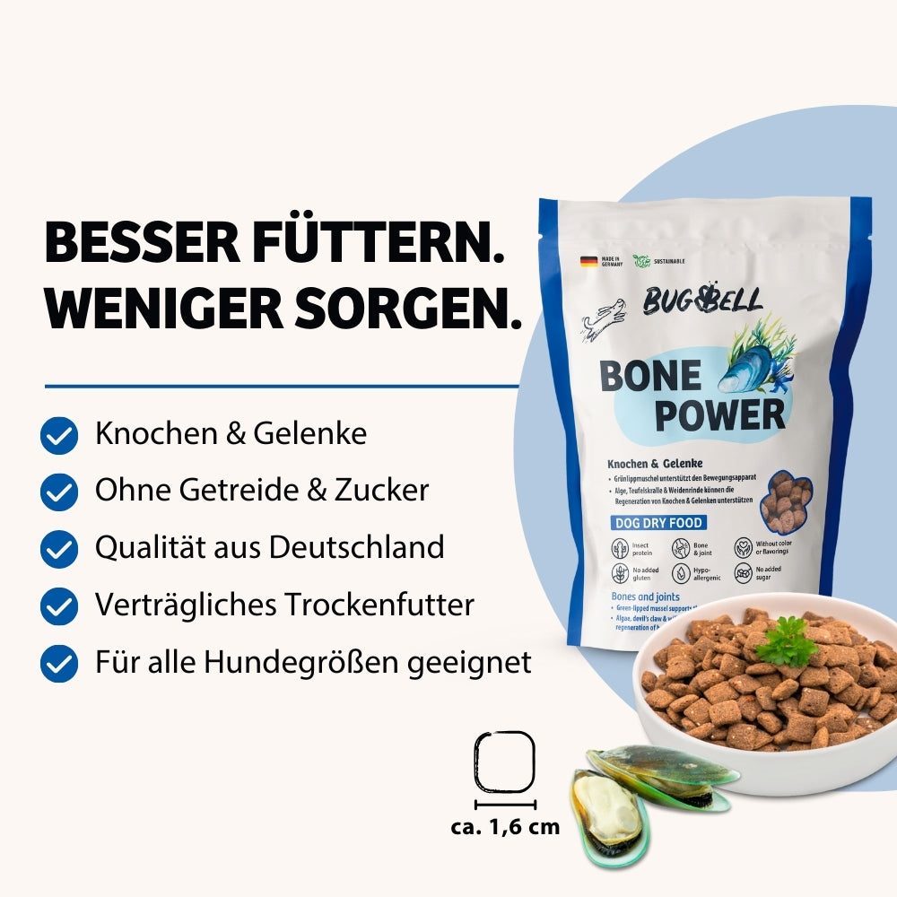 Bone Power Trockenfutter von BugBell unterstützt die Gesundheit von Knochen und Gelenken. Ohne Getreide und Zucker, mit sichtbaren Zutaten und Qualität aus Deutschland, ist es ein verträgliches Trockenfutter für Hunde aller Größen.