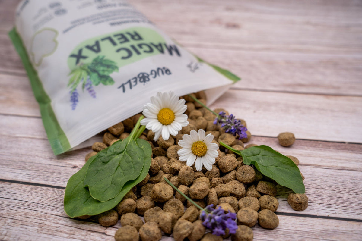 BugBell Getreidefreies Trockenfutter, Hypoallergen
