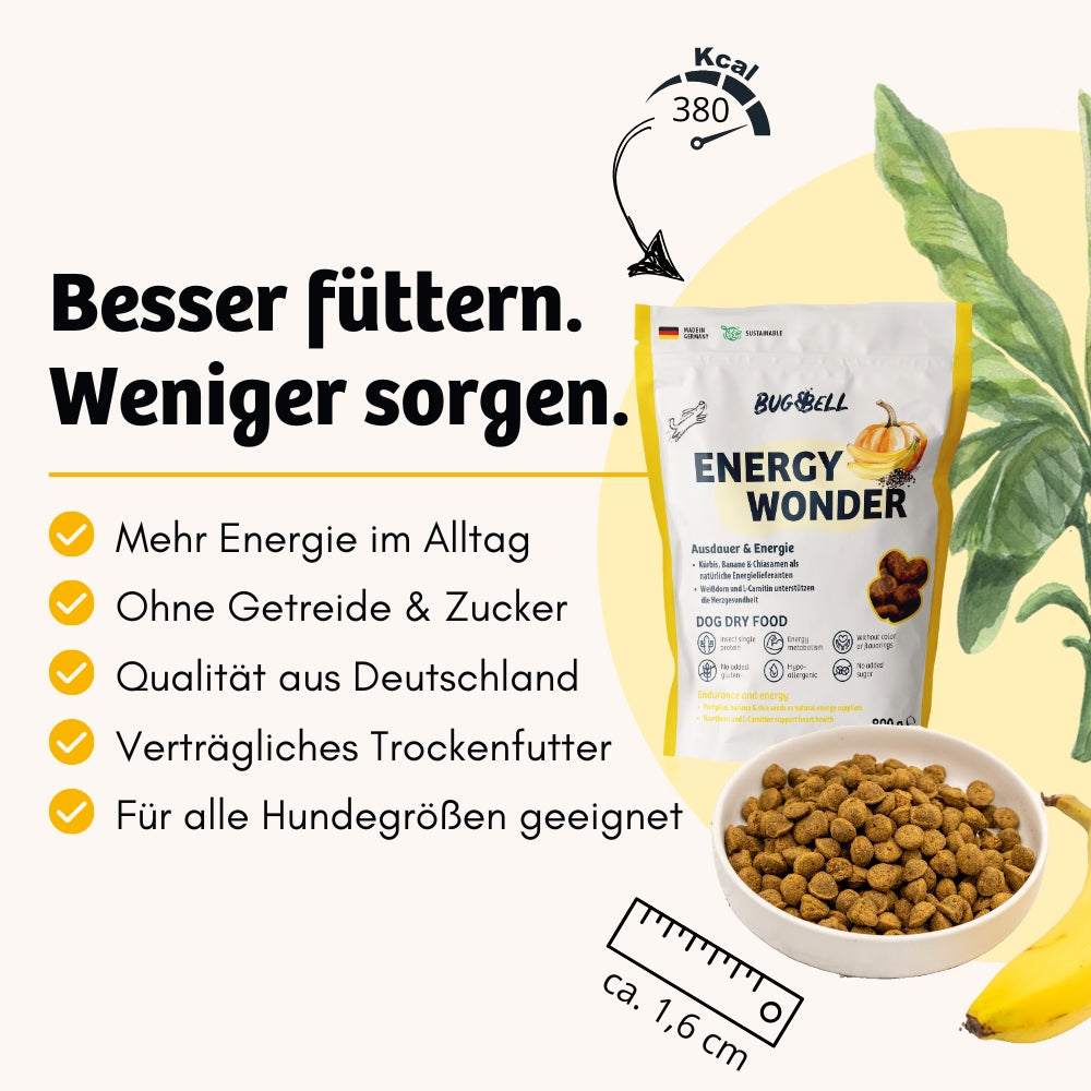 Das Trockenfutter Energy Wonder von BugBell bietet Gesundheit in jedem Bissen – es ist getreidefrei, zuckerfrei, liefert mehr Energie im Alltag und steht für höchste Qualität aus Deutschland. Dieses verträgliche Trockenfutter ist für alle Hundegrößen geeignet.