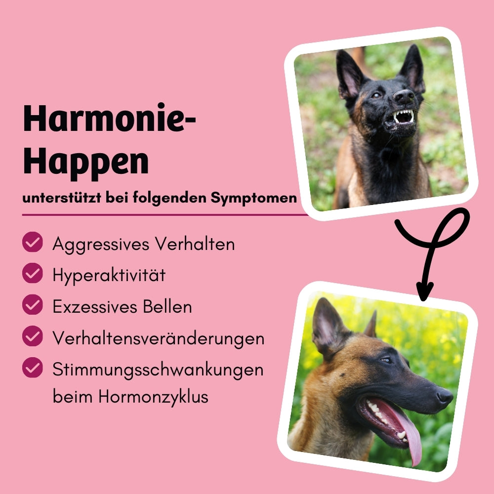 Nassfutter HappyMood - Hormonbalance & Zufriedenheit