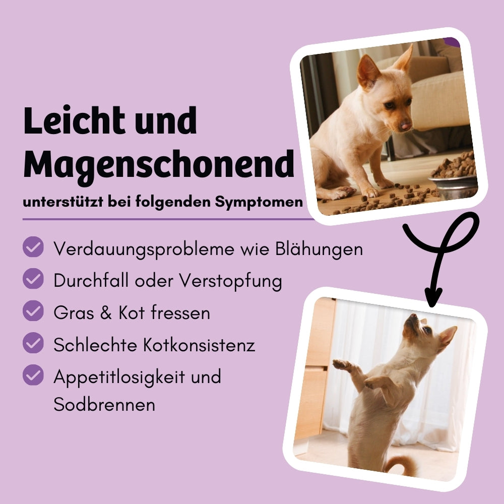 Leicht und magenschonendes Hundefutter hilft bei Verdauungsproblemen wie Blähungen, Durchfall, Verstopfung, schlechter Kotkonsistenz, Appetitlosigkeit und Sodbrennen und unterstützt Hunde, die Gras oder Kot fressen, für eine gesunde Verdauung.