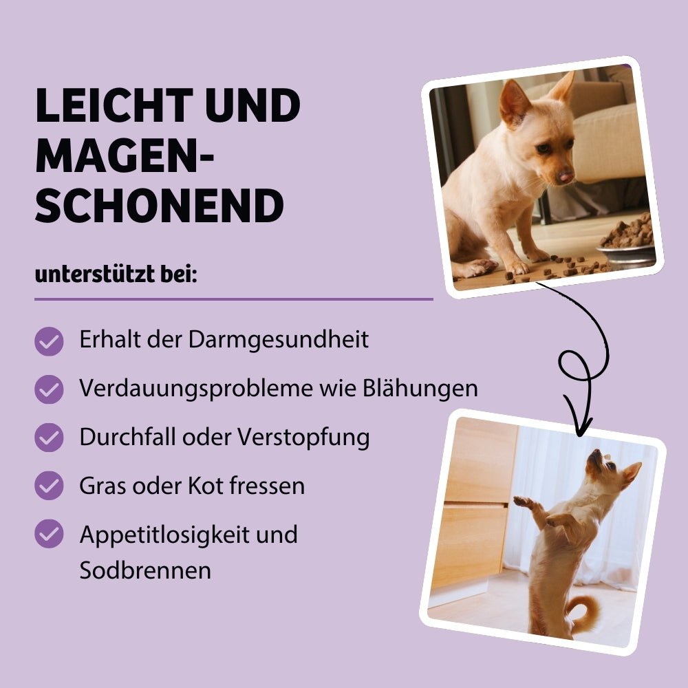 Vorteile BellyVital - Leicht und magenschonendes Hundefutter hilft bei Verdauungsproblemen wie Blähungen, Durchfall, Verstopfung, schlechter Kotkonsistenz, Appetitlosigkeit und Sodbrennen und unterstützt Hunde, die Gras oder Kot fressen, für eine gesunde Verdauung.