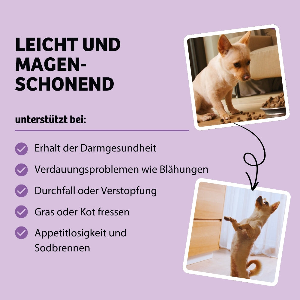 Vorteile BellyVital - Leicht und magenschonendes Hundefutter hilft bei Verdauungsproblemen wie Blähungen, Durchfall, Verstopfung, schlechter Kotkonsistenz, Appetitlosigkeit und Sodbrennen und unterstützt Hunde, die Gras oder Kot fressen, für eine gesunde Verdauung.