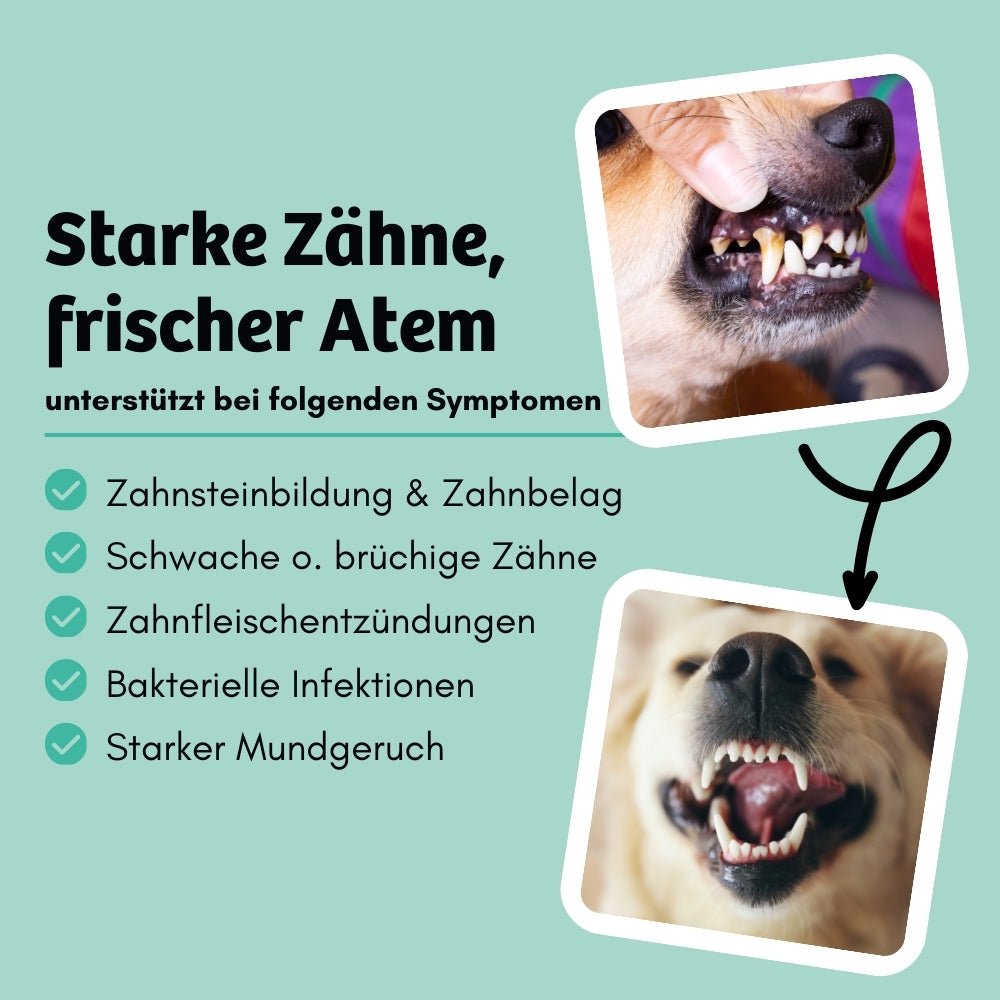 Vorteile DentalShine Zahnpflege Hundefutter