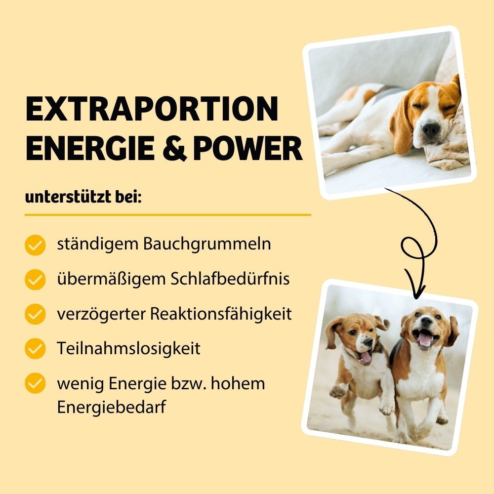 Das Hundefutter Energy Wonder bietet einen Powerboost für Energiebündel und hilft bei Symptomen wie ständigem Bauchgrummeln, übermäßigem Schlafbedürfnis, verzögerter Reaktionsfähigkeit, Teilnahmslosigkeit und geringem Energielevel oder hohem Energiebedarf.