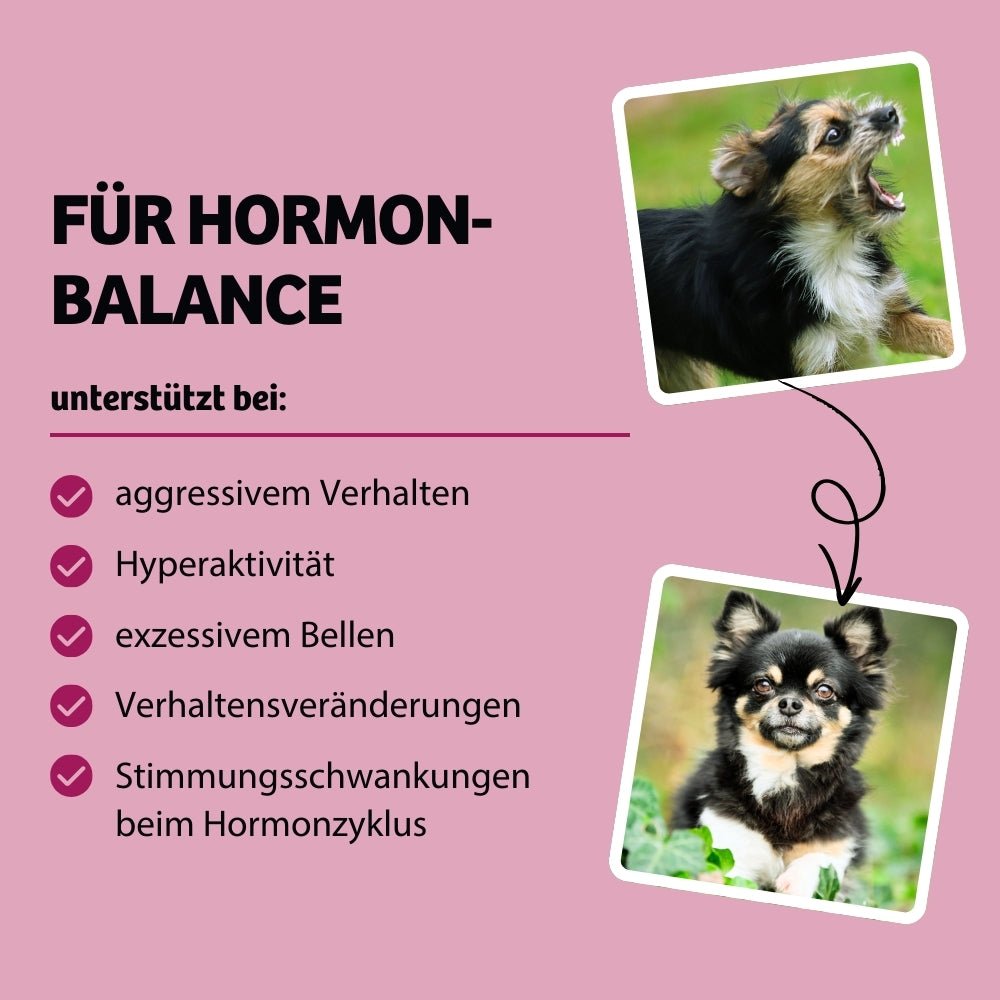 Vorteile HappyMood
