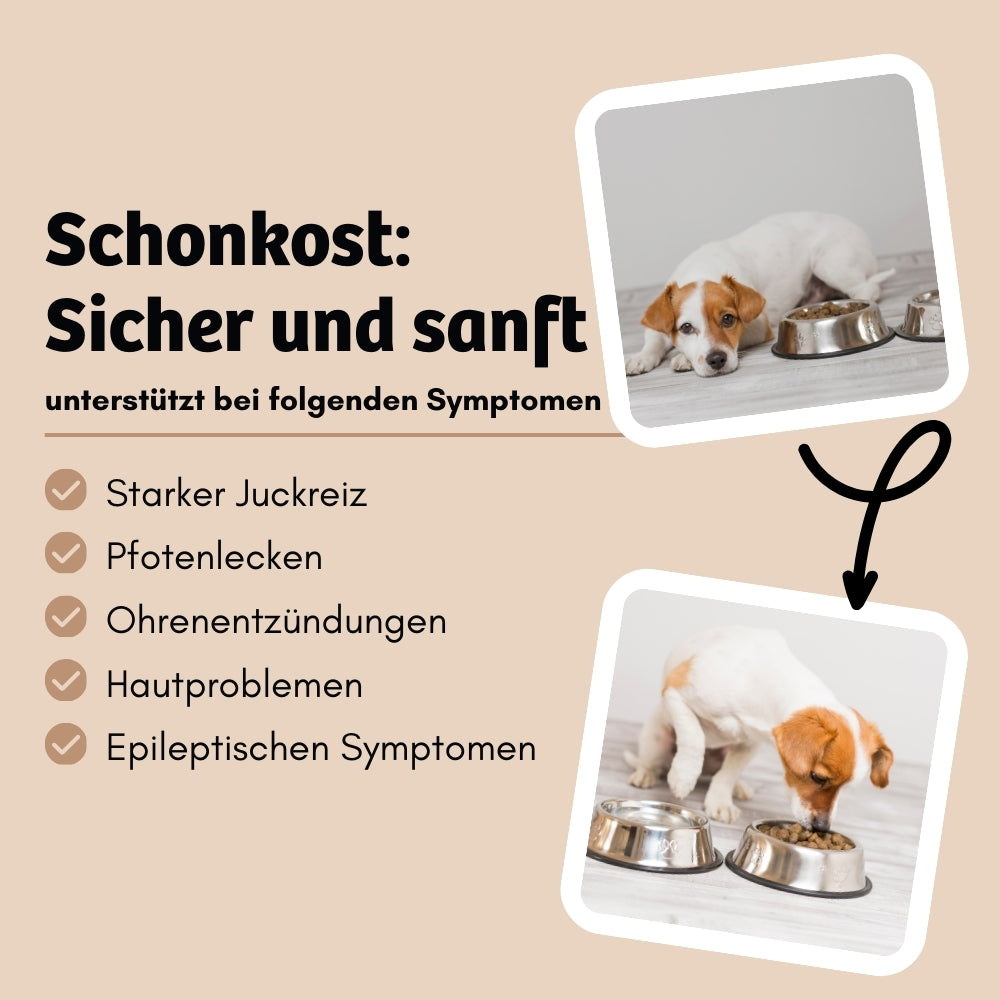 Schonkost bietet eine sichere und sanfte Lösung für Hunde mit starken Symptomen wie Juckreiz, Pfotenlecken, Ohrenentzündungen, Hautproblemen und epileptischen Anzeichen. Ideal für eine beruhigende und gesunde Ernährung