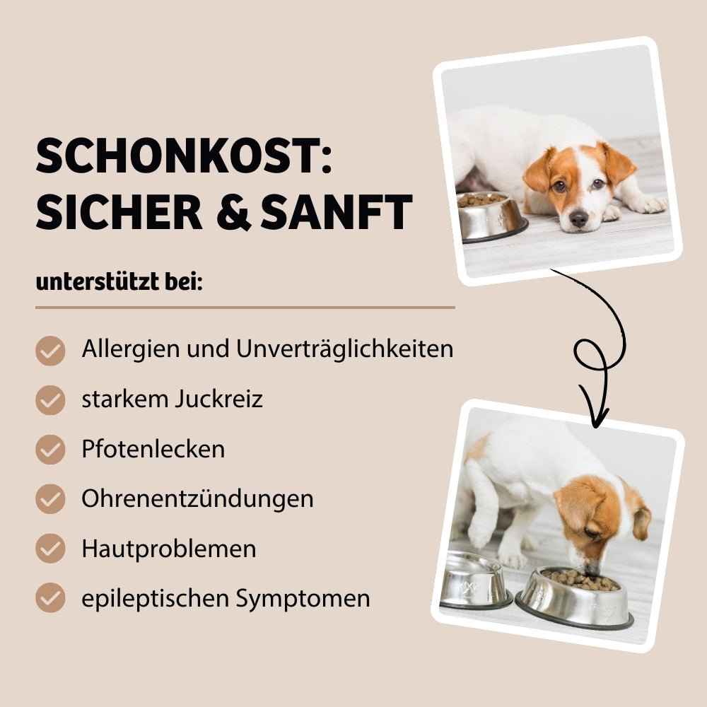 Schonkost bietet eine sichere und sanfte Lösung für Hunde mit starken Symptomen wie Juckreiz, Pfotenlecken, Ohrenentzündungen, Hautproblemen und epileptischen Anzeichen. Ideal für eine beruhigende und gesunde Ernährung