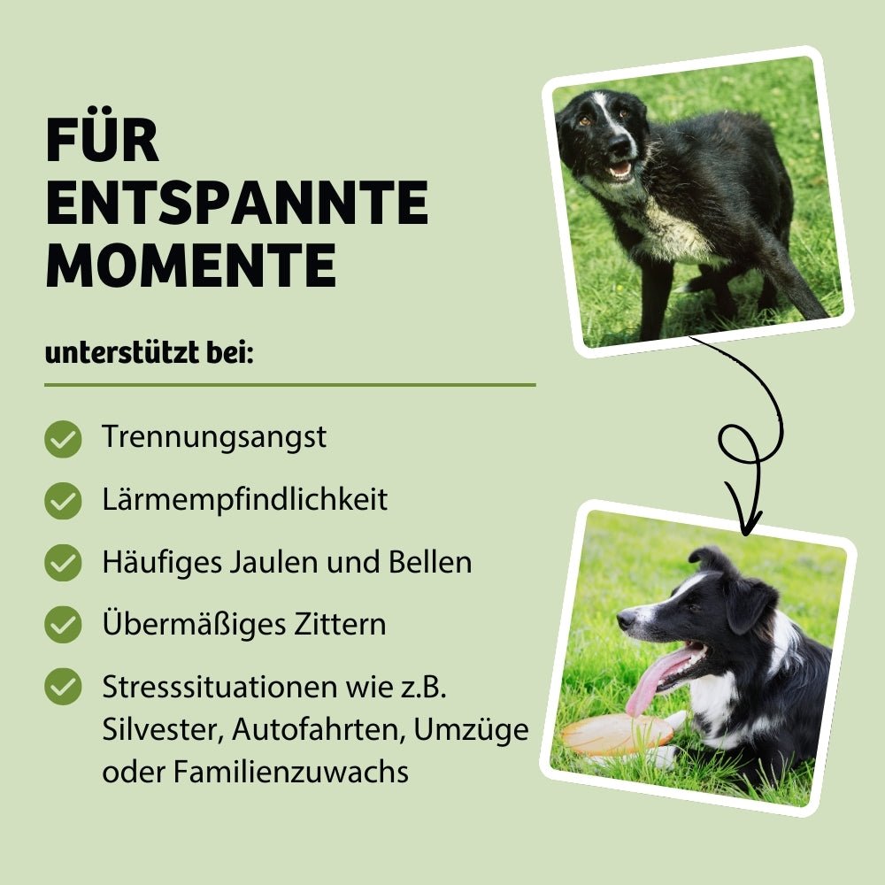 Vorteile MagicRelax: hilft Hunden, entspannte Momente zu erleben, indem es Symptome wie Trennungsangst, Lärmempfindlichkeit, häufiges Jaulen und Bellen sowie Zittern reduziert. Ideal für Stresssituationen wie Silvester, Autofahrten, Umzüge oder Familienzuwachs.