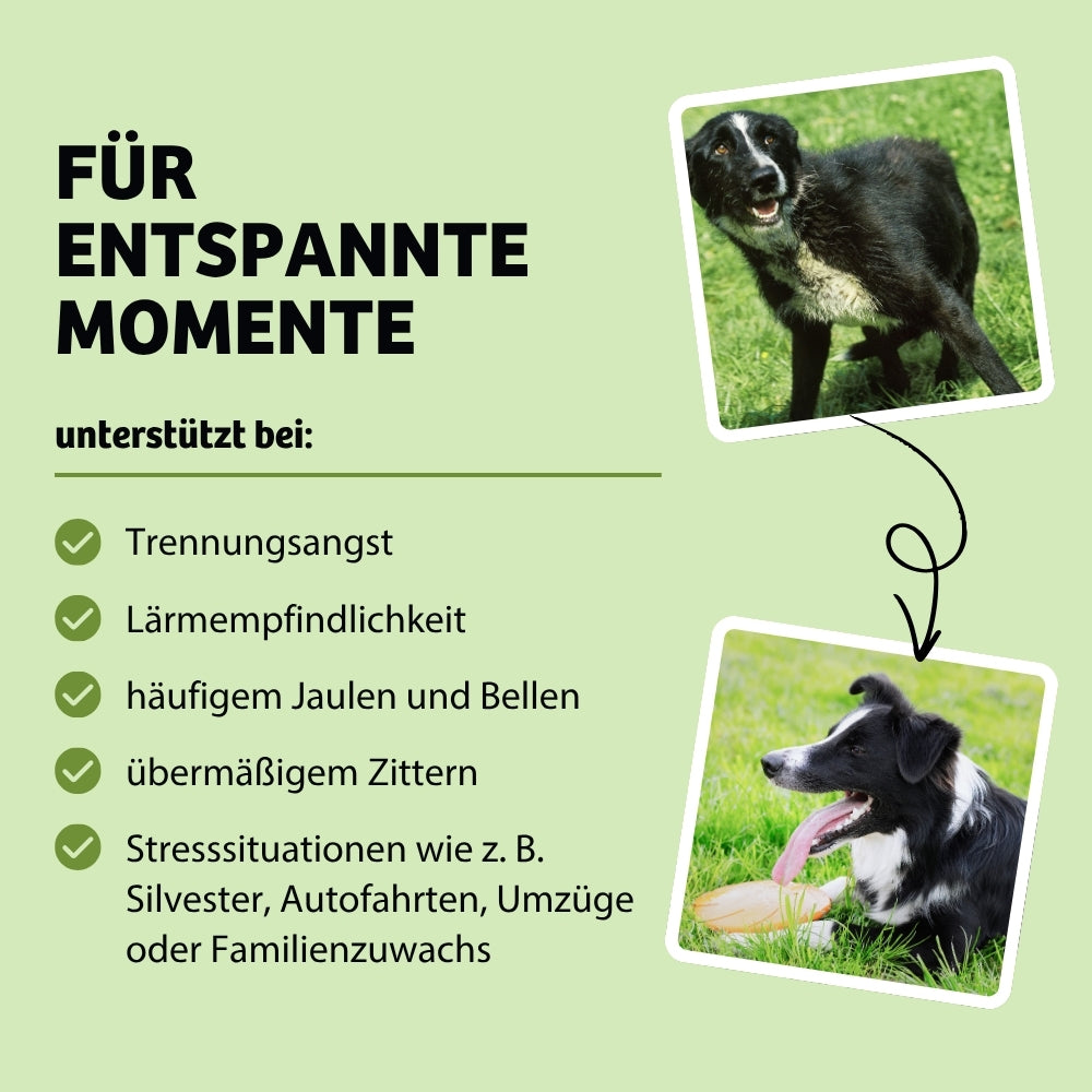 Vorteile MagicRelax: hilft Hunden, entspannte Momente zu erleben, indem es Symptome wie Trennungsangst, Lärmempfindlichkeit, häufiges Jaulen und Bellen sowie Zittern reduziert. Ideal für Stresssituationen wie Silvester, Autofahrten, Umzüge oder Familienzuwachs.
