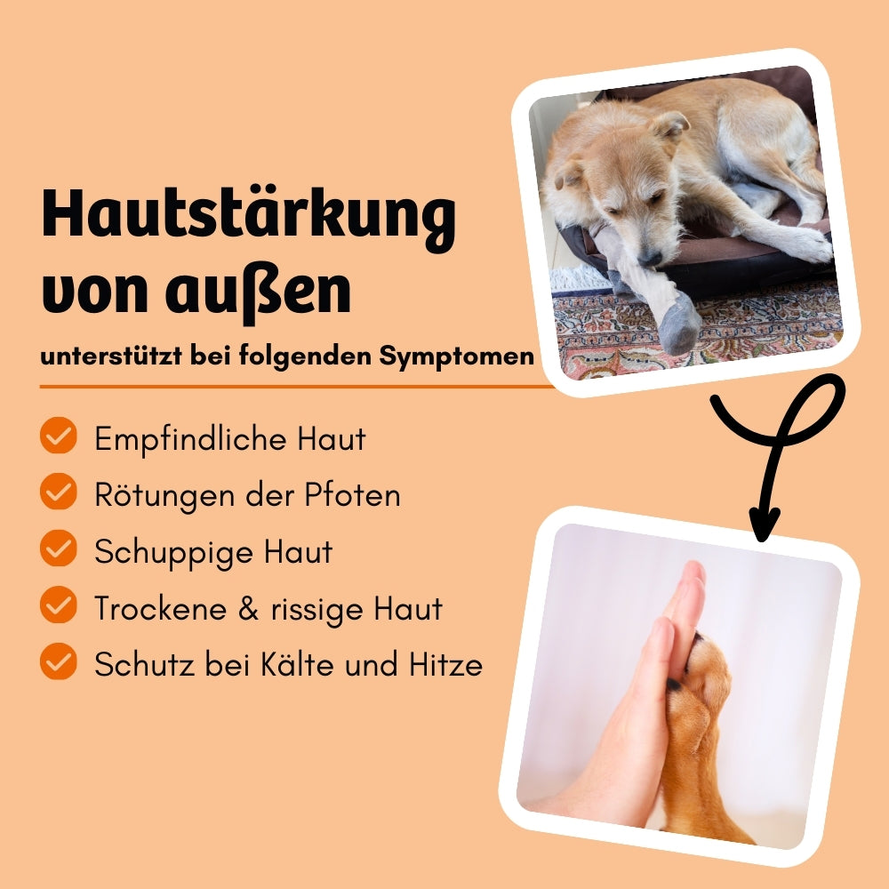 Pfotenbalsam Haut & Fell für Hunde