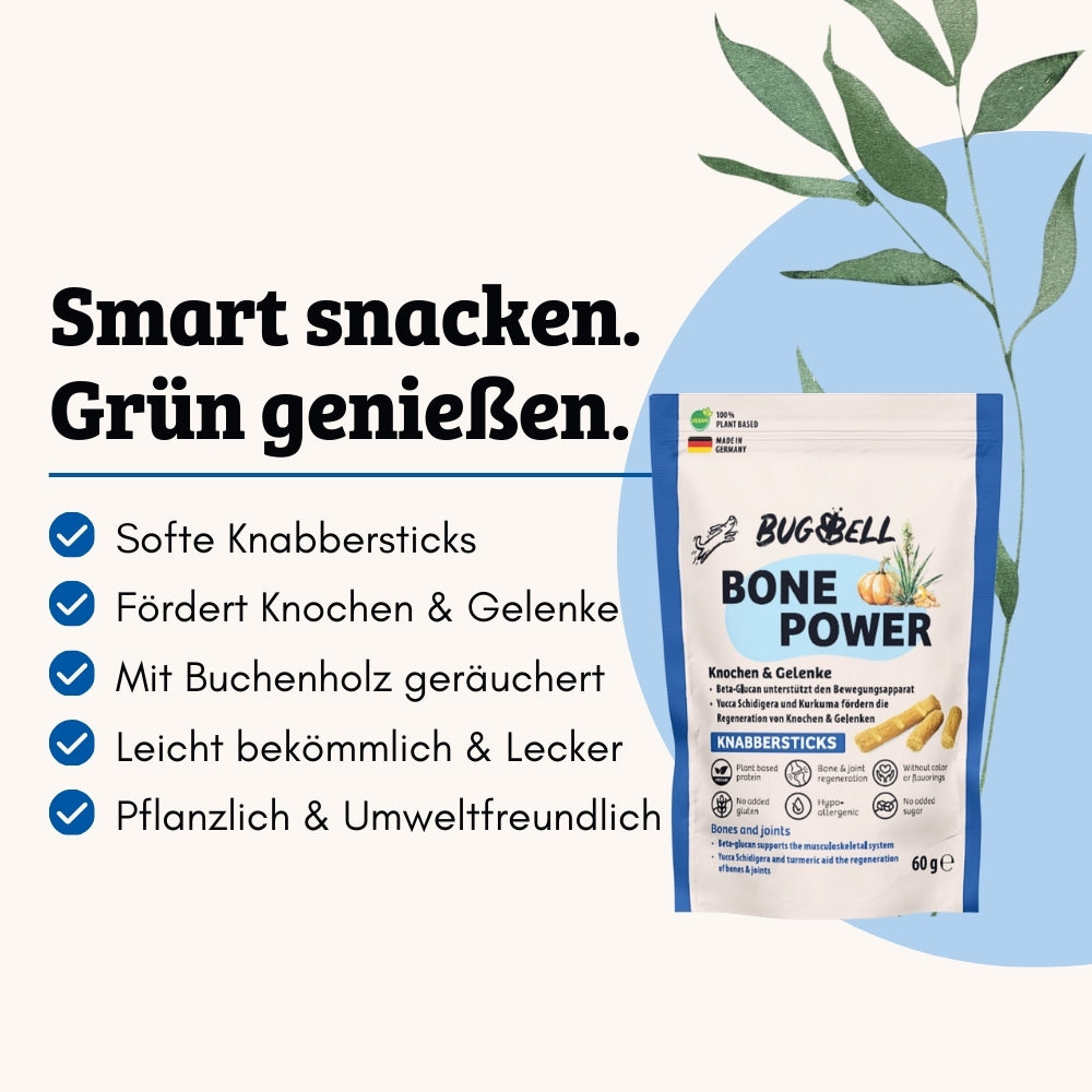 Knochen und Gelenke beim Hund. Pflanzliche Knabbersticks von BugBell