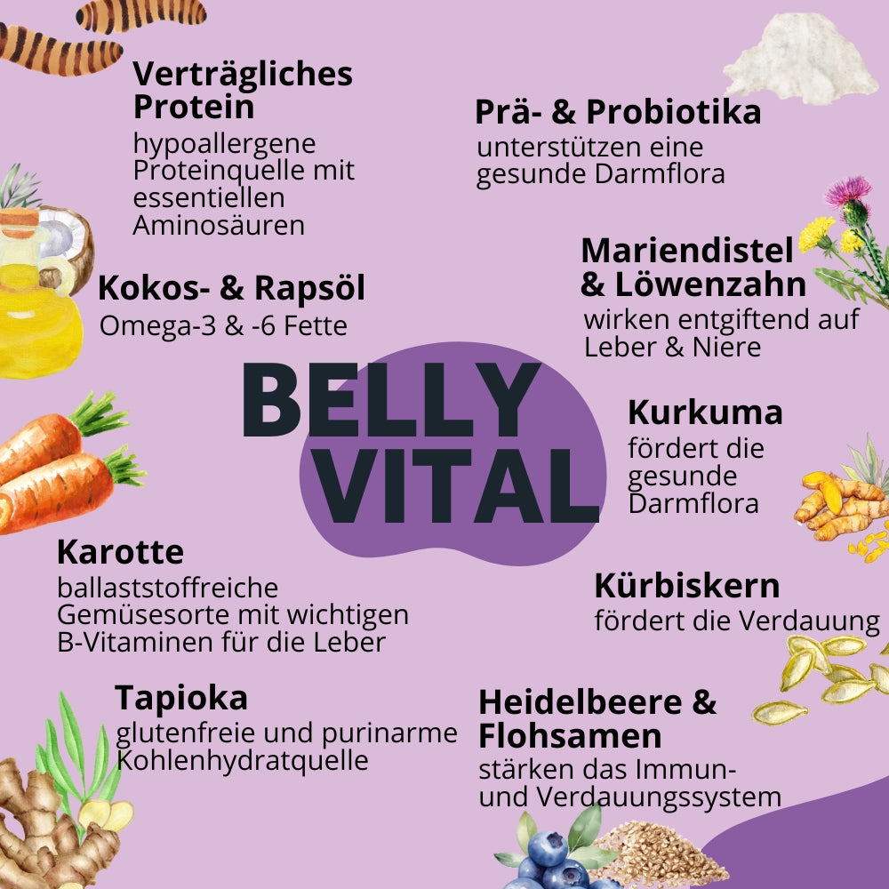 Zutaten BellyVital Hundekekse