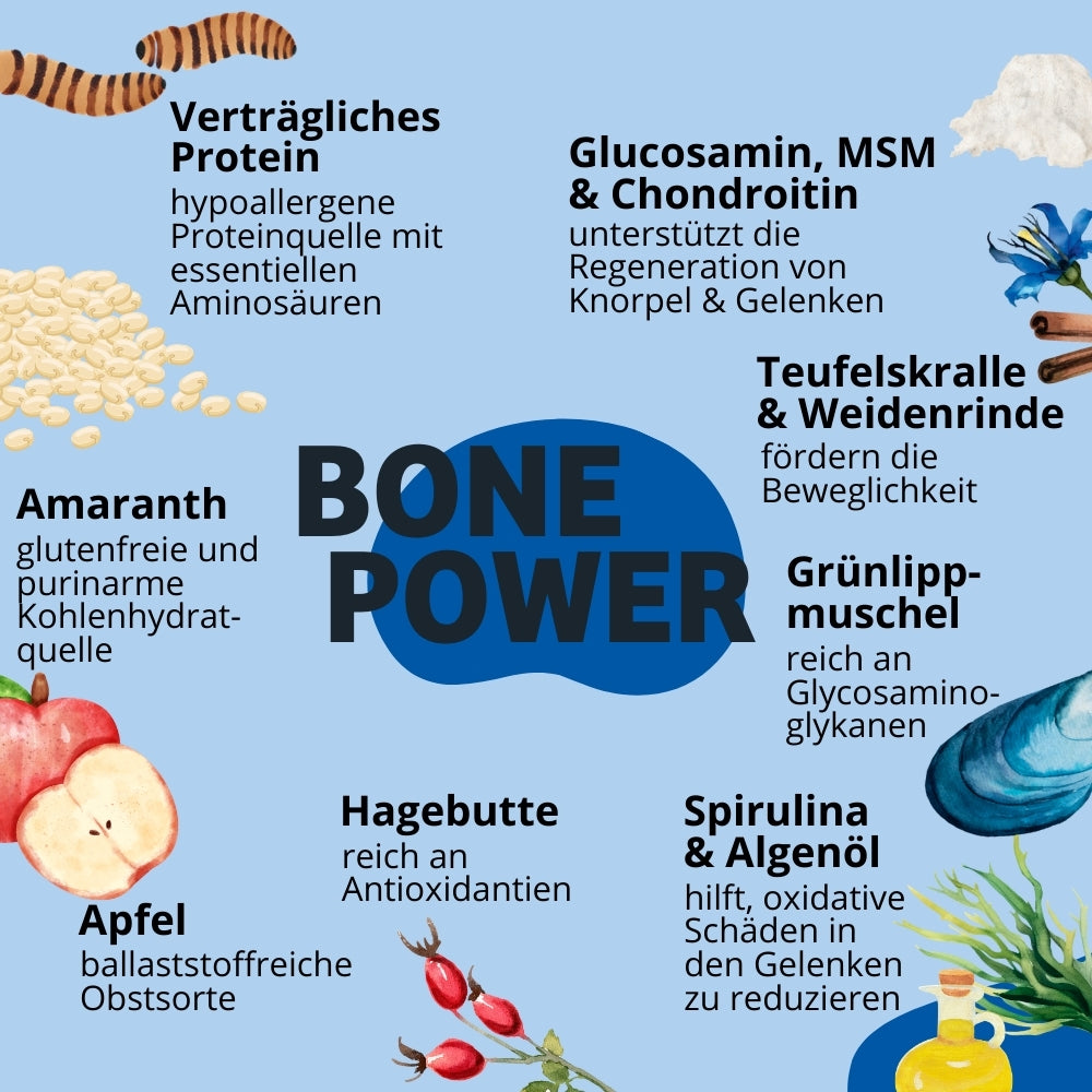 Quinoa Hundefutter mit Tapioka, Glucosamin, MSM und Chondroitin. Teufelskralle und Weidenrinde für den Hund. Protein Hundefutter mit Grünlippenmuschel und Spirulina. Leinsamen und Apfel für den Hund.