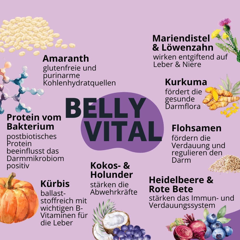 Weiche Hundeleckerli BellyVital - Verdauung & Darmflora