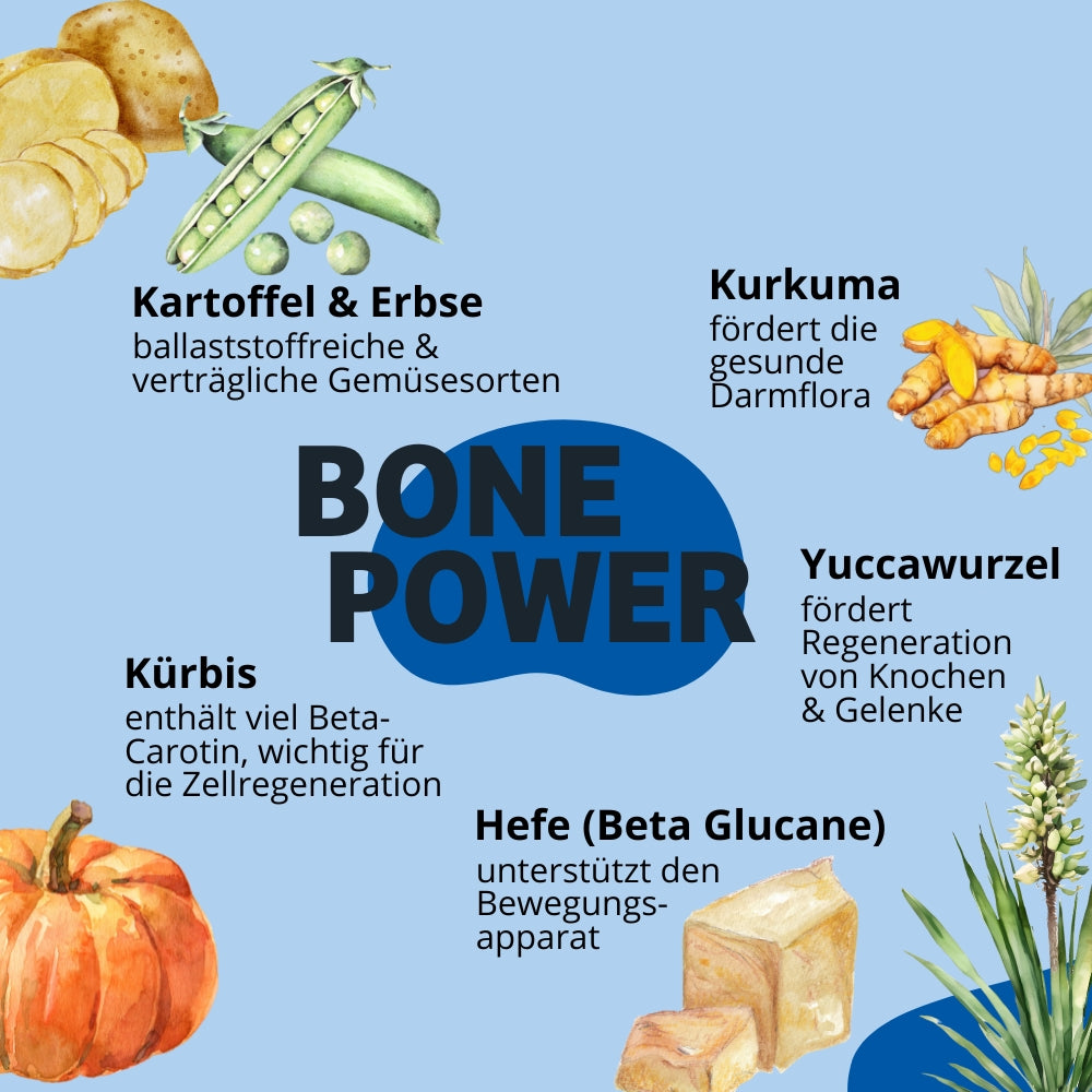 BonePower von BugBell mit Kartoffel, Erbse , Kurkuma für den Hund.