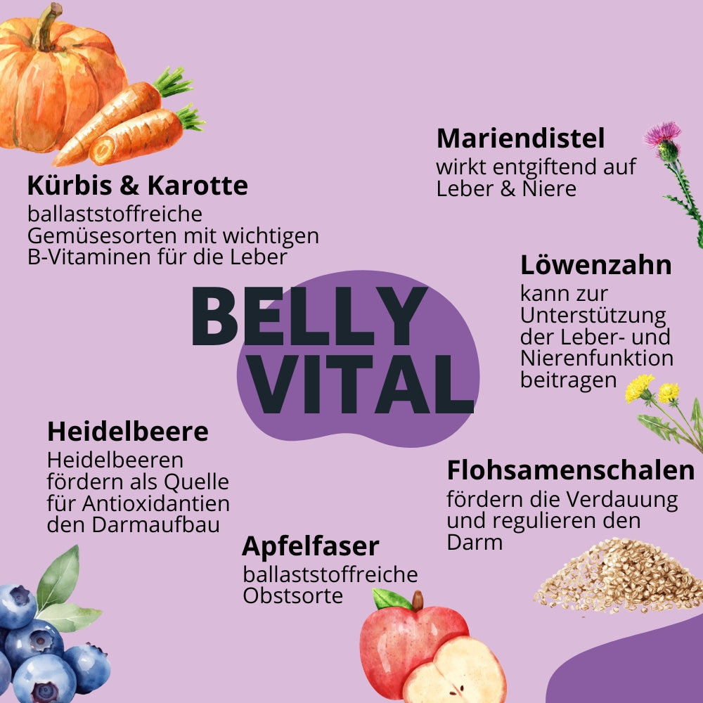 Topping BellyVital - Verdauung & Darmflora