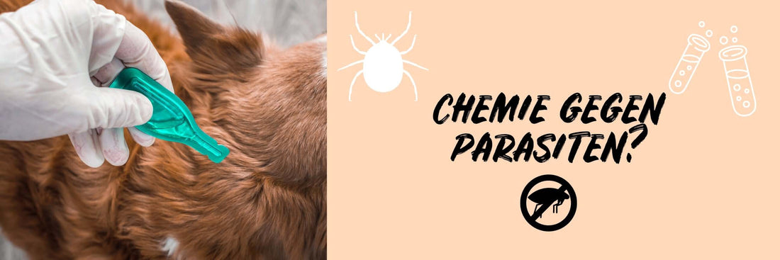 Chemie gegen Parasiten oder natürliche Produkte